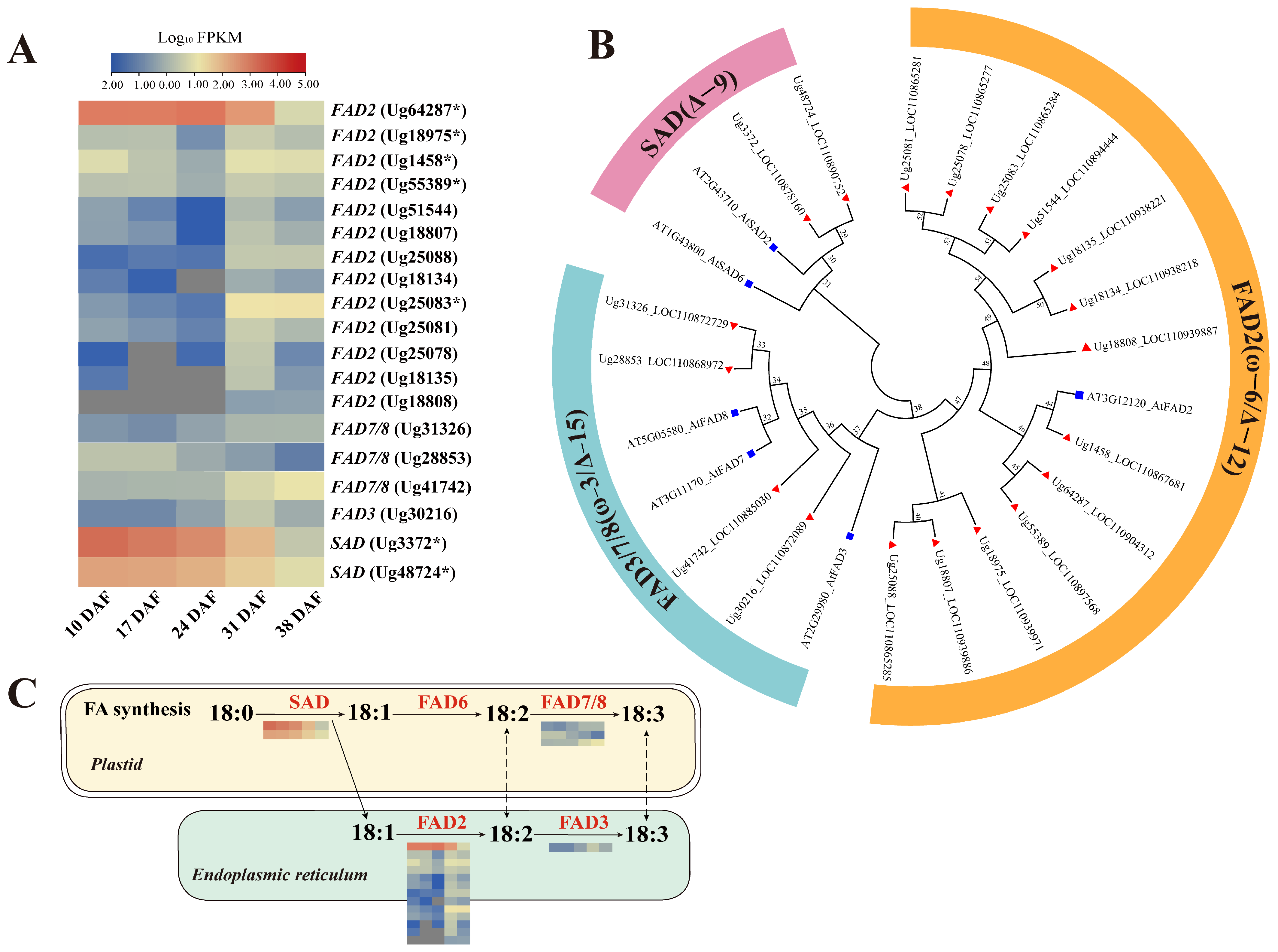 Genes 16 00393 g006
