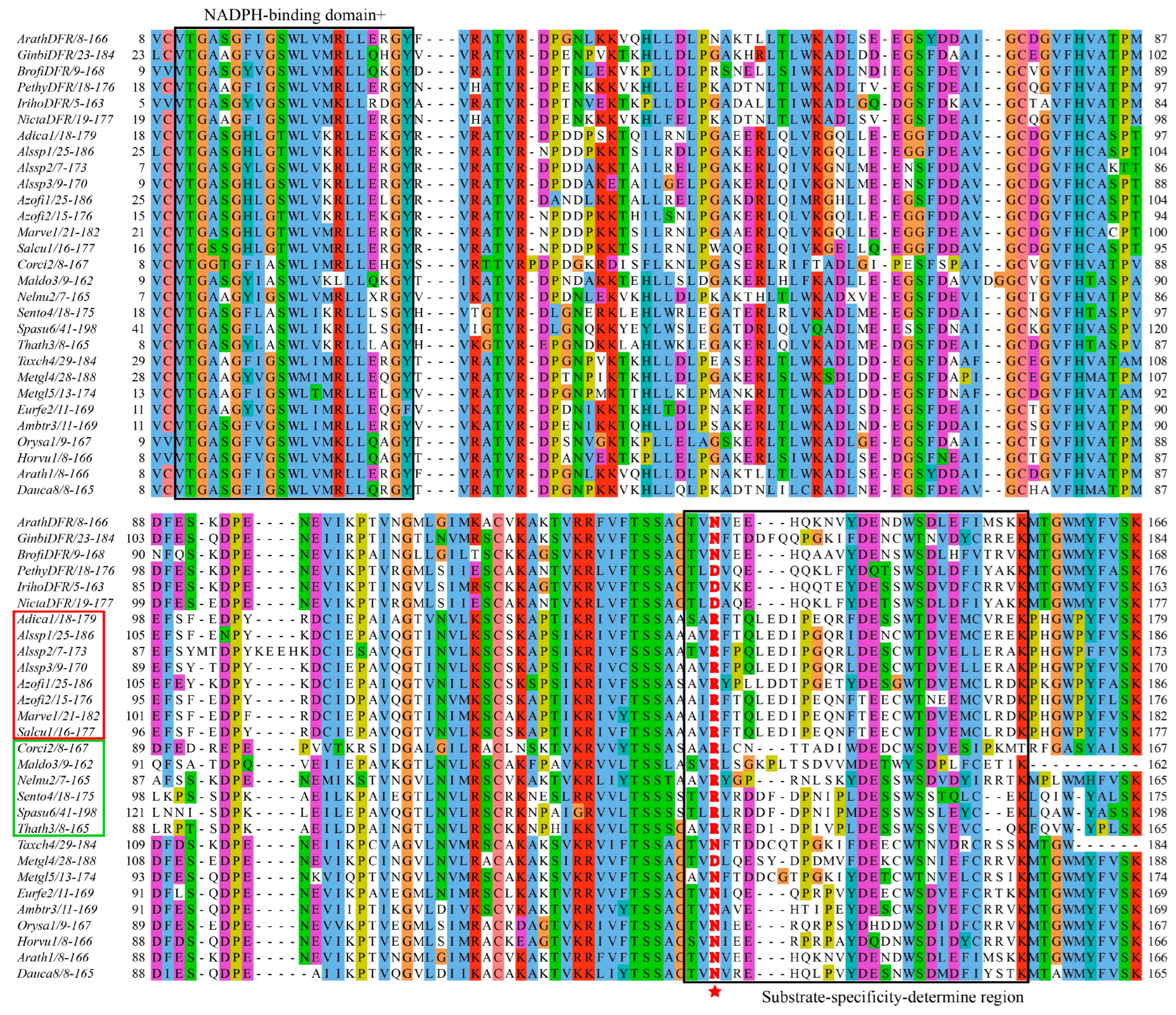 Genes 16 00396 g002