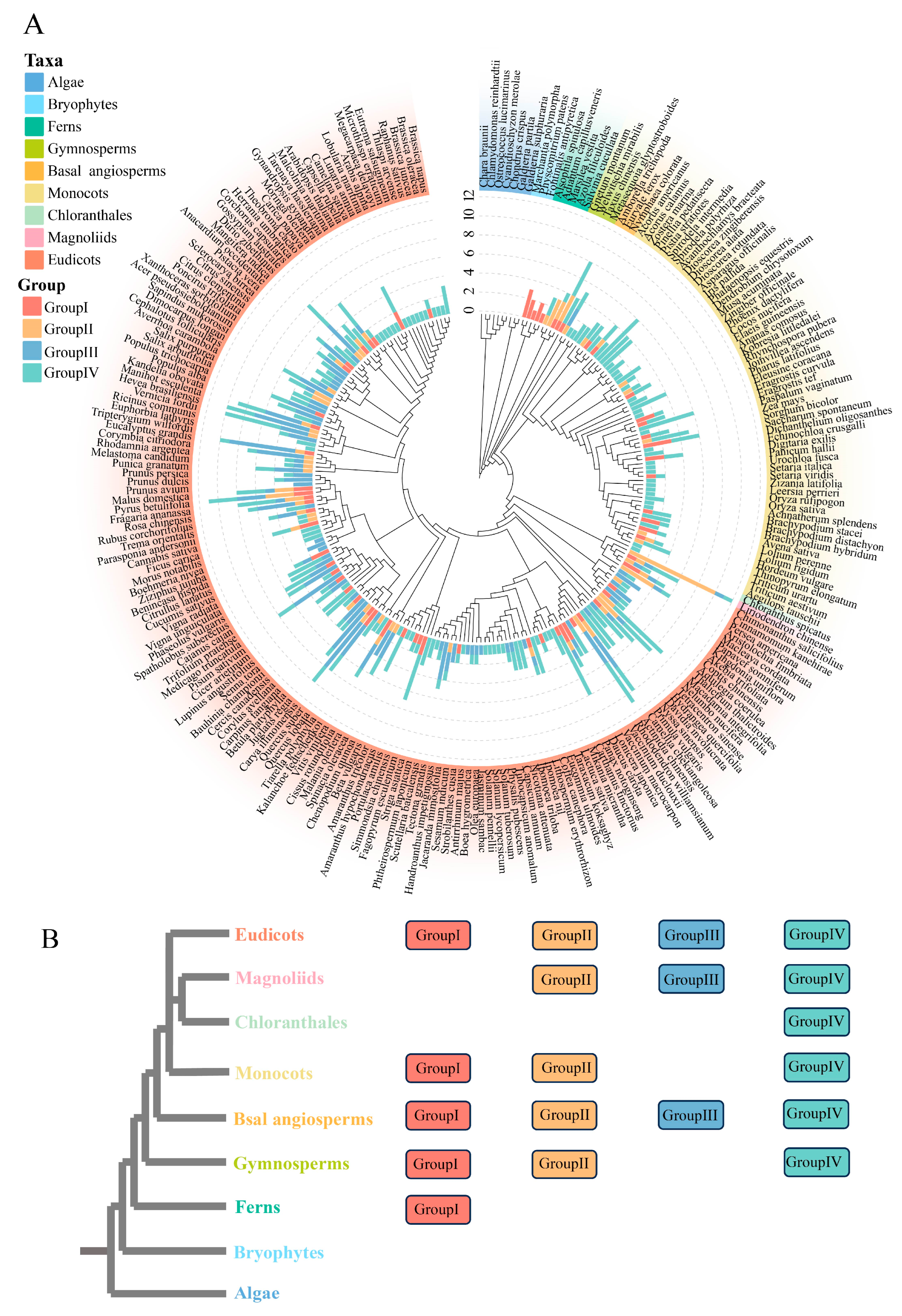 Genes 16 00396 g004