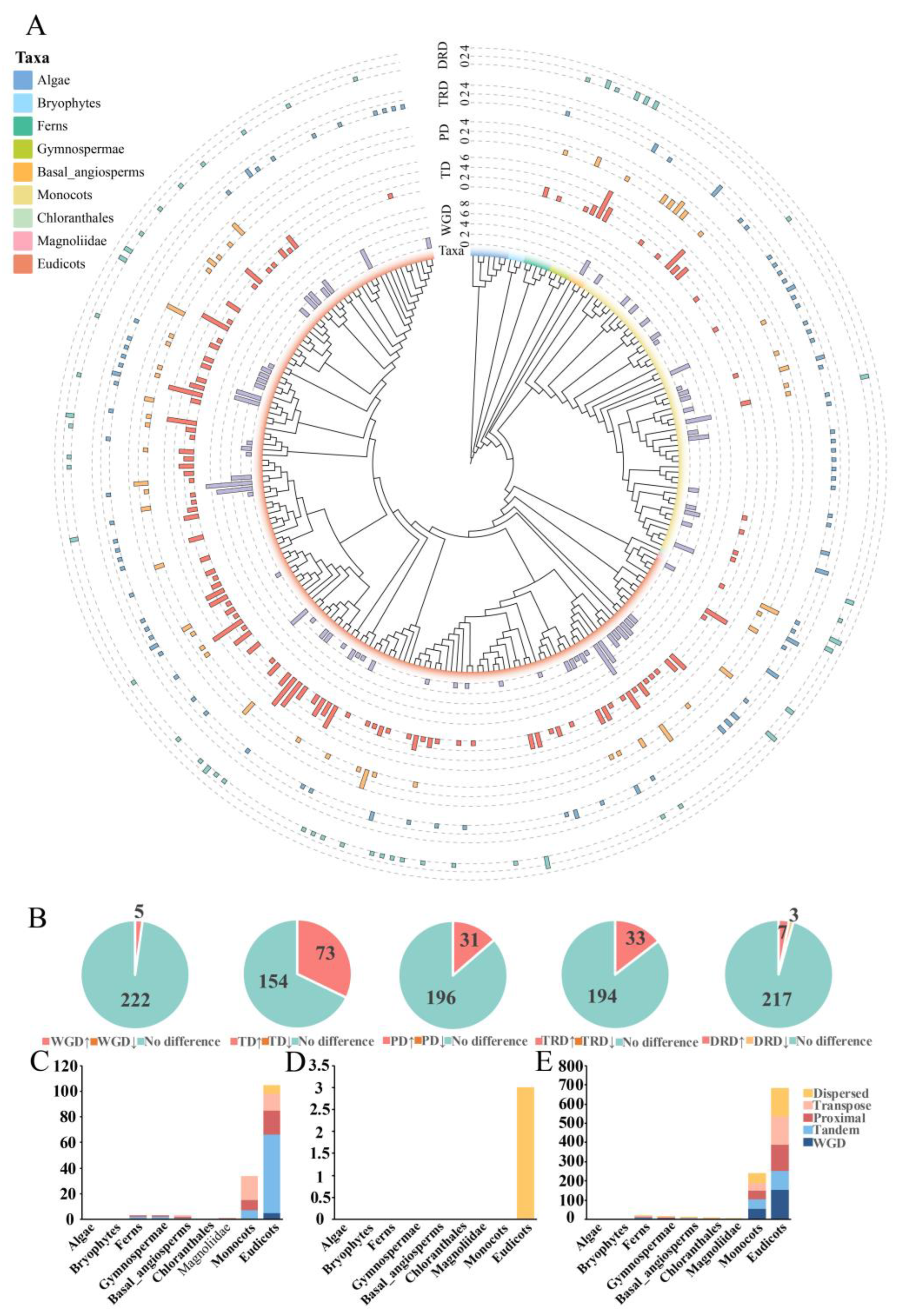 Genes 16 00396 g006
