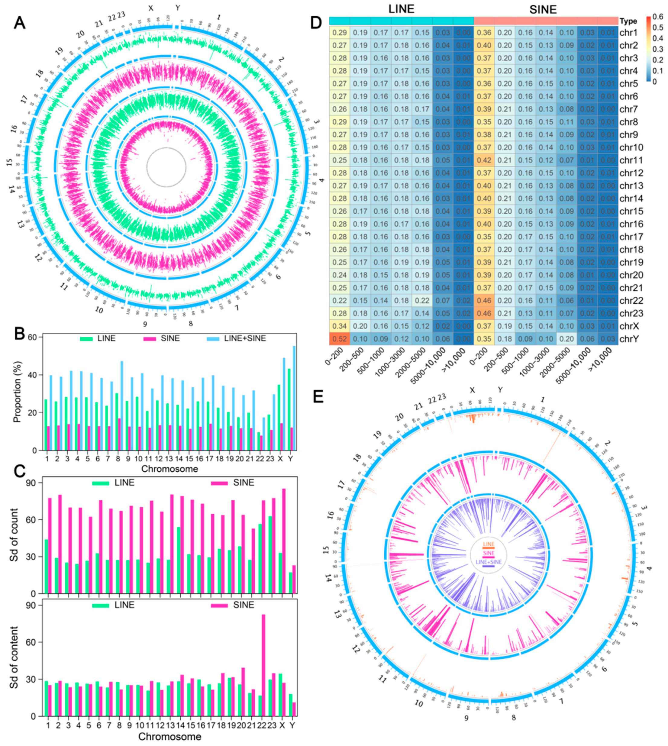 Genes 16 00397 g001 Genes 16 00397 g001