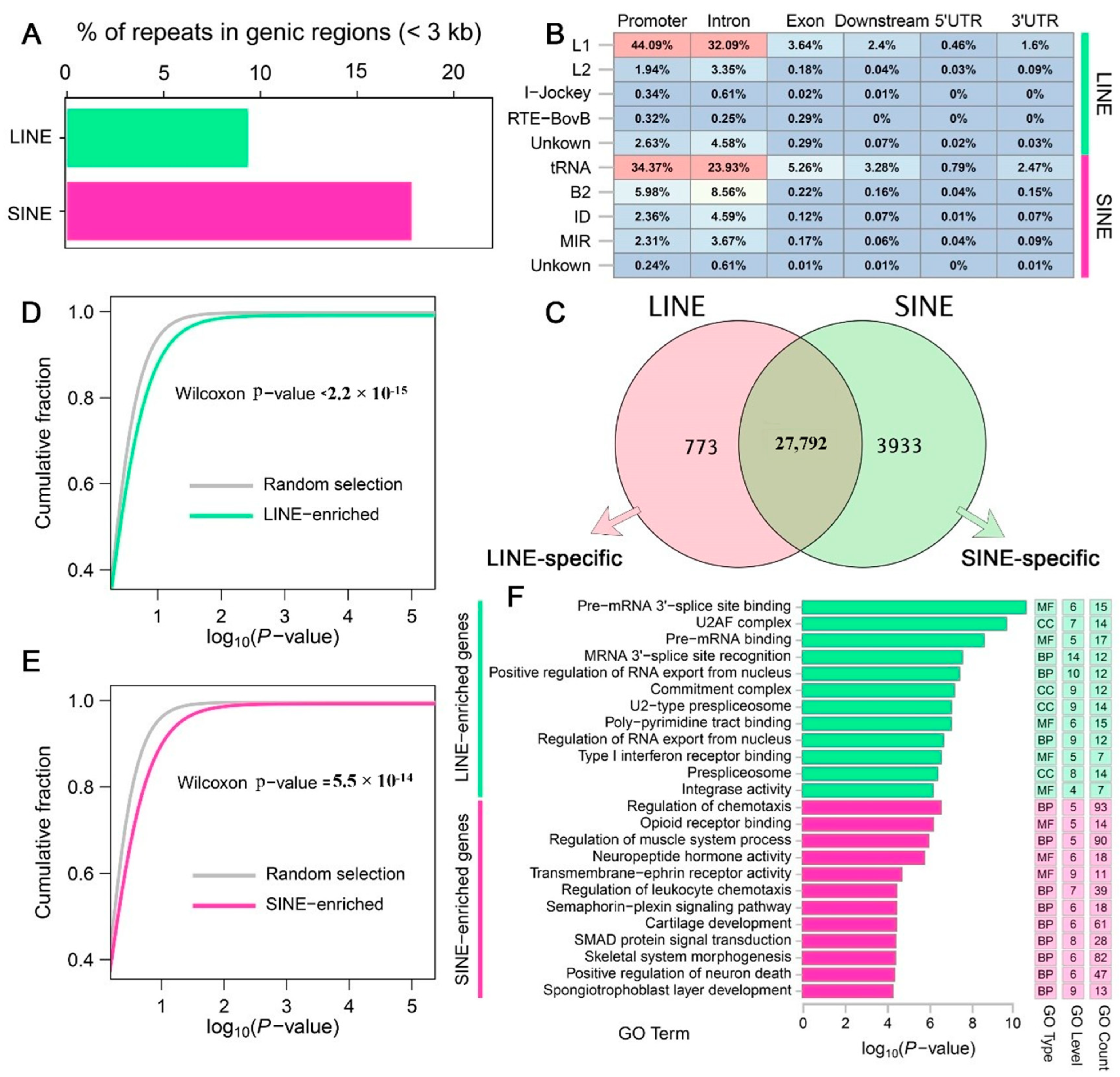 Genes 16 00397 g002 Genes 16 00397 g002
