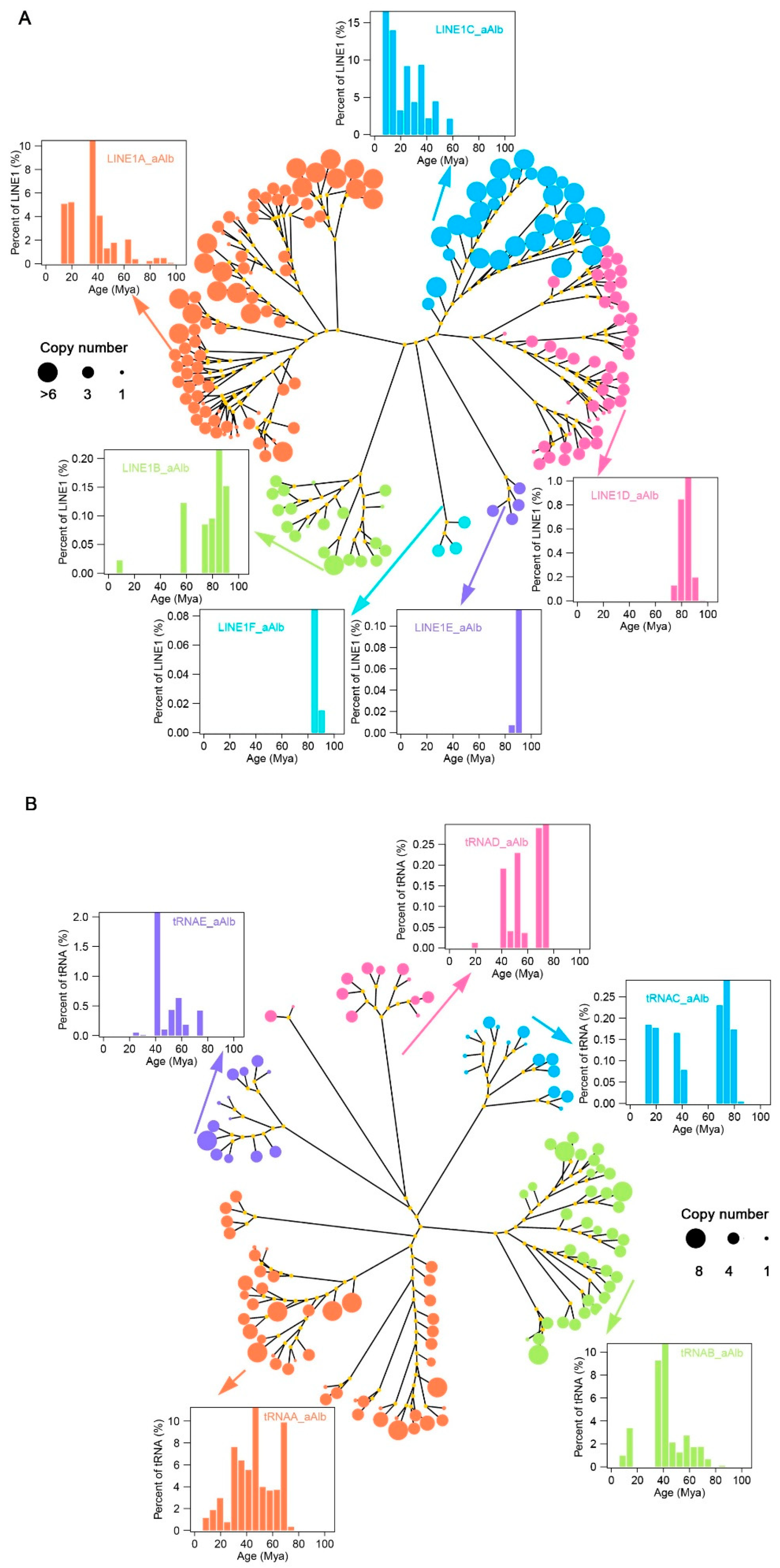 Genes 16 00397 g003 Genes 16 00397 g003