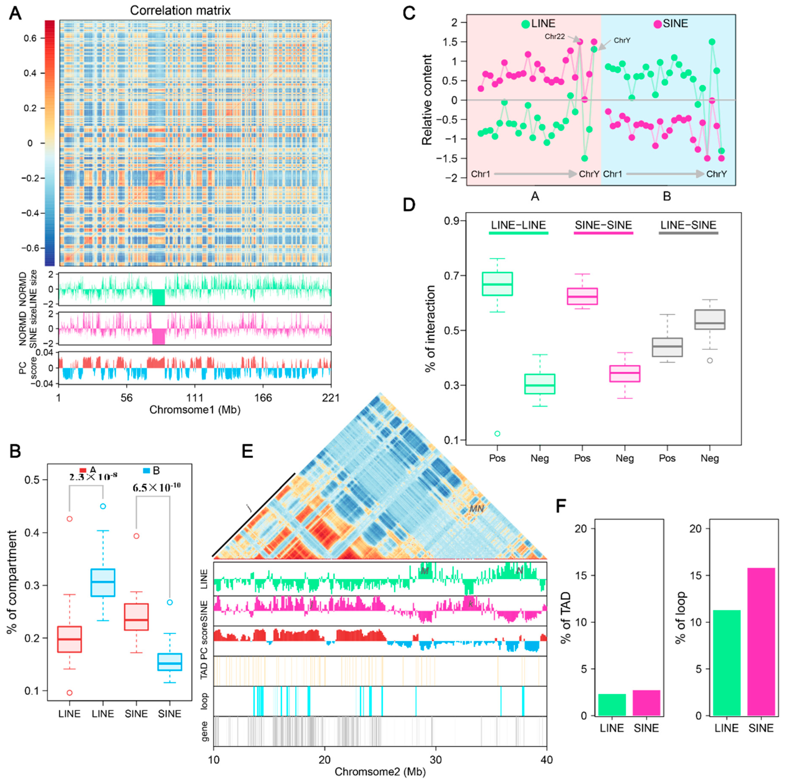 Genes 16 00397 g006 Genes 16 00397 g006