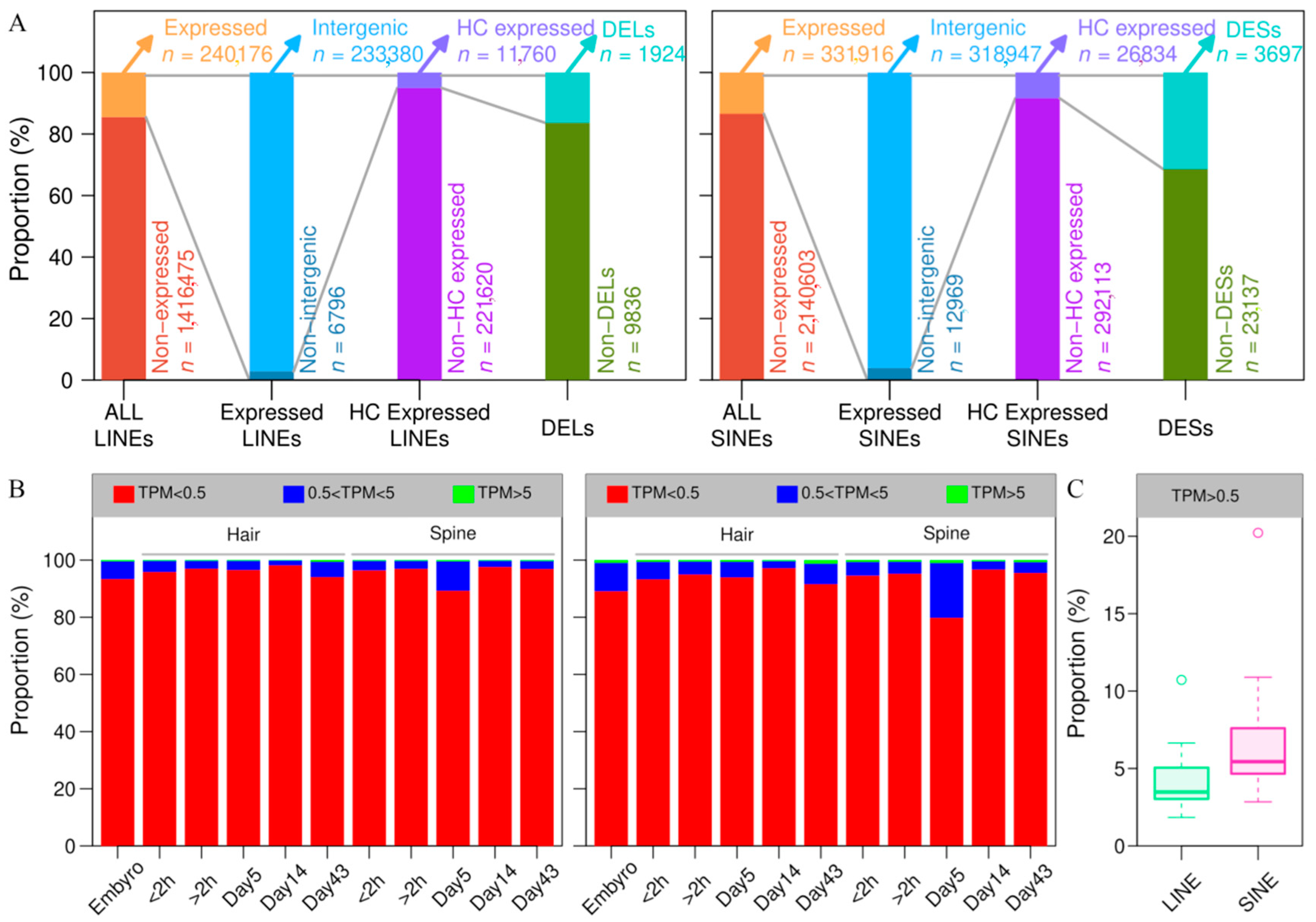 Genes 16 00397 g007 Genes 16 00397 g007