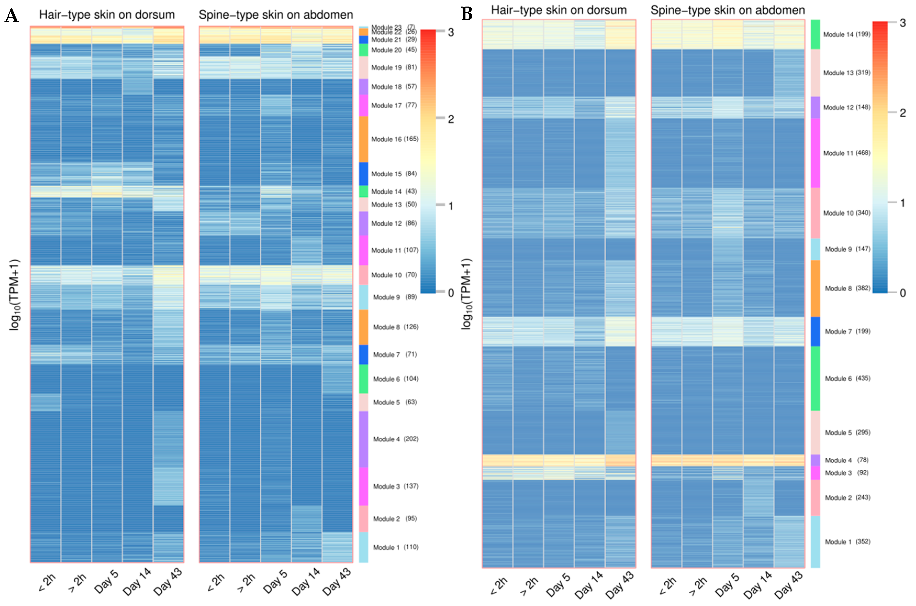 Genes 16 00397 g0a19 Genes 16 00397 g0a19