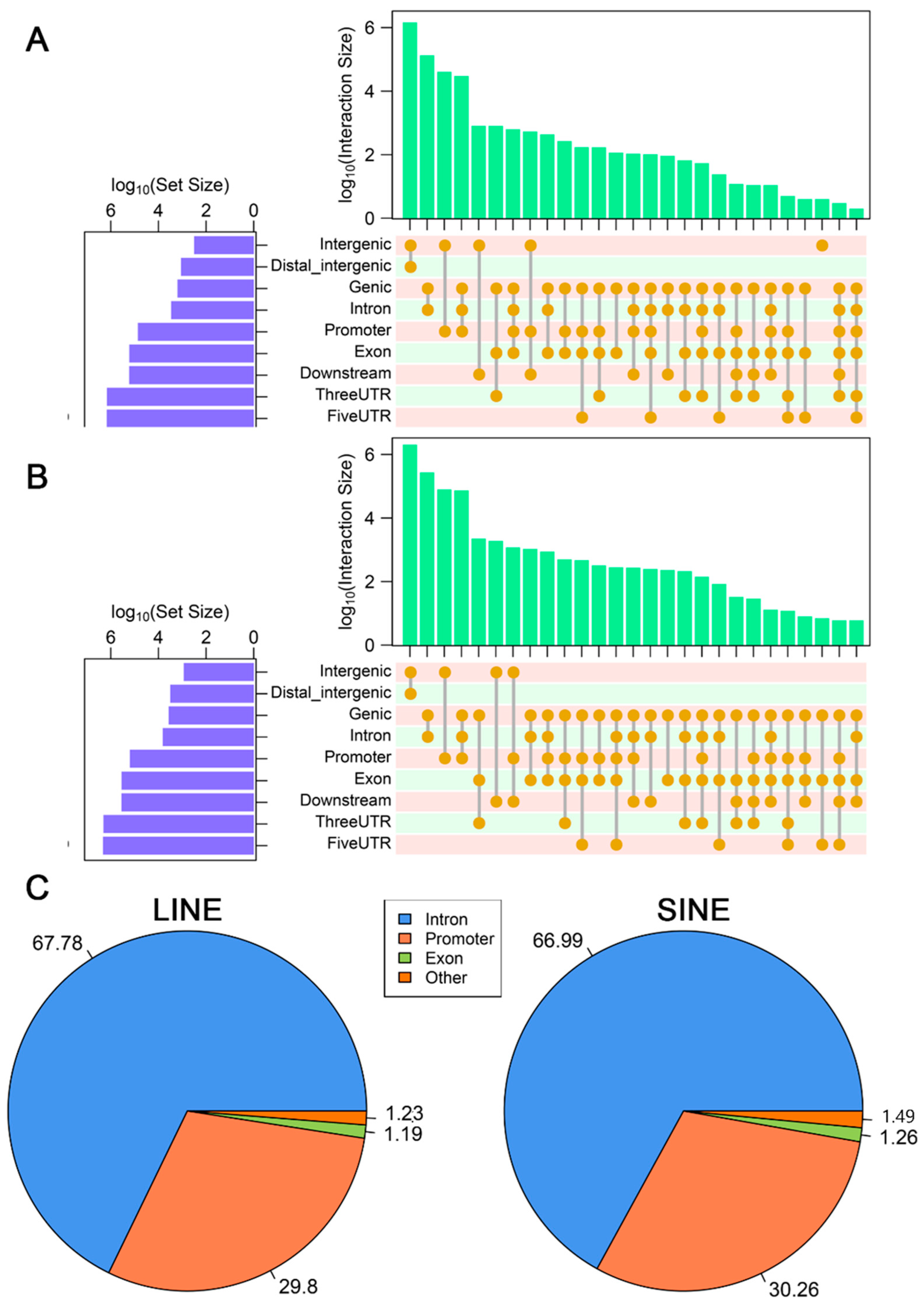 Genes 16 00397 g0a5 Genes 16 00397 g0a5