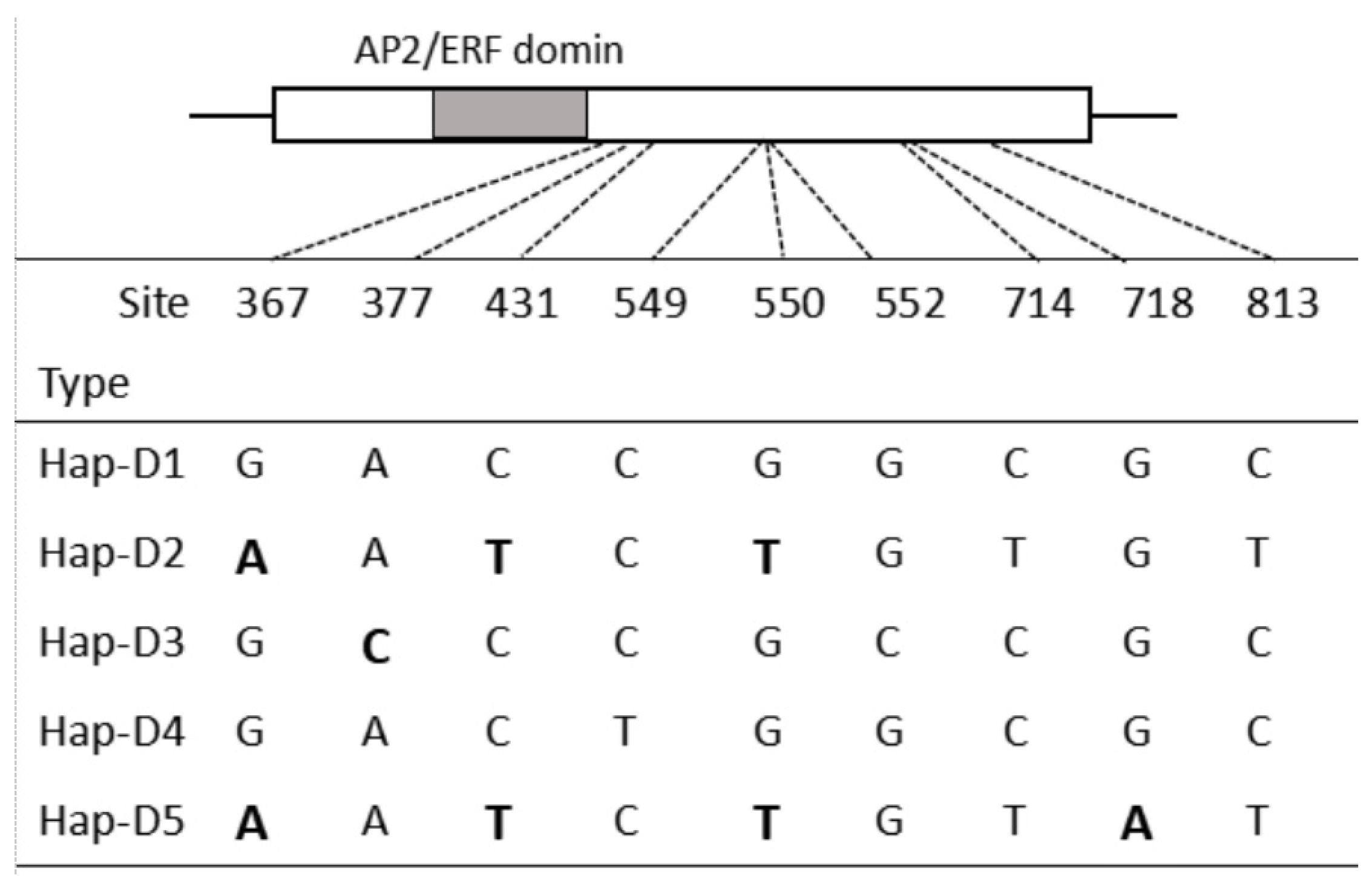 Genes 16 00414 g001