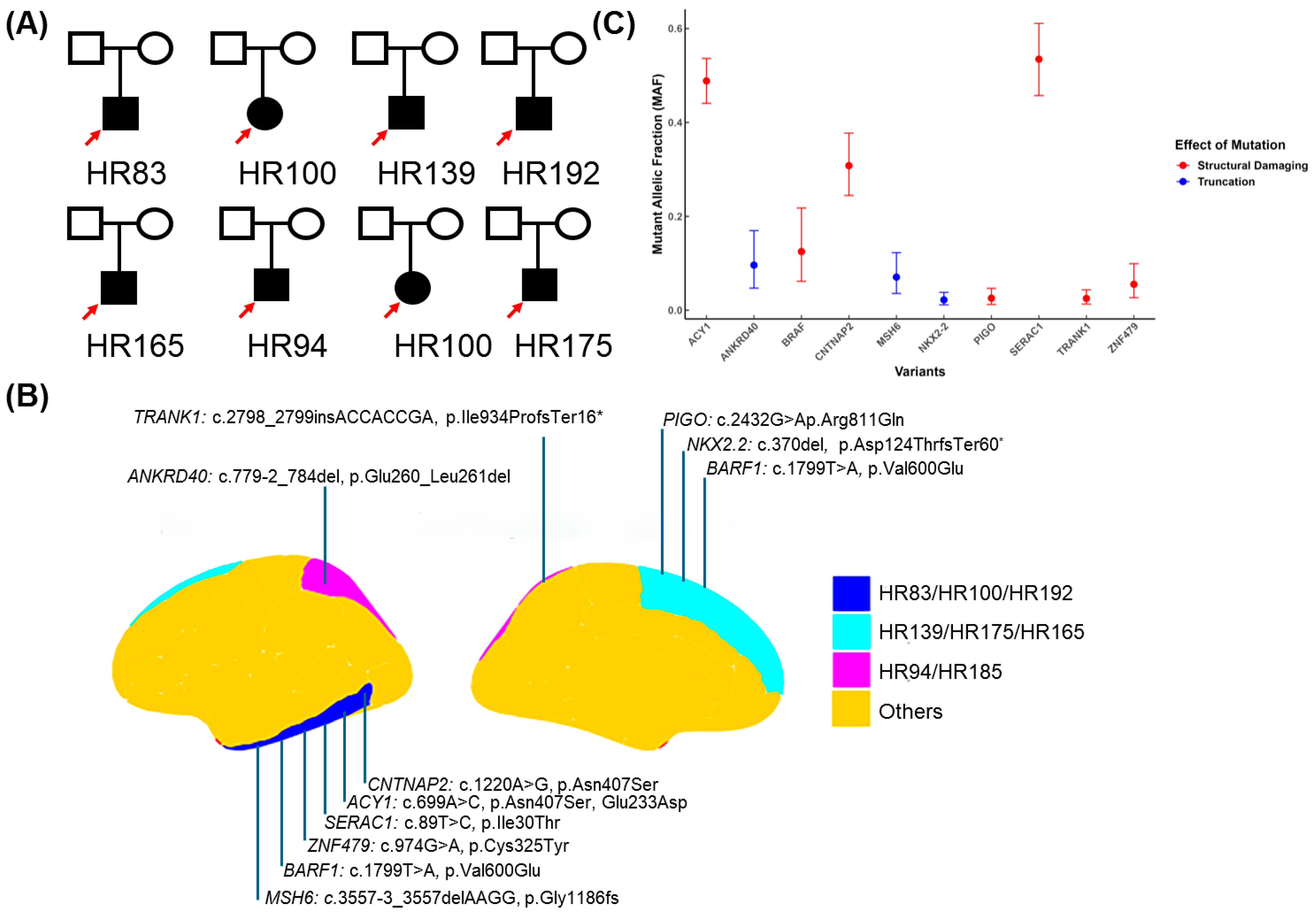Genes 16 00421 g002 Genes 16 00421 g002