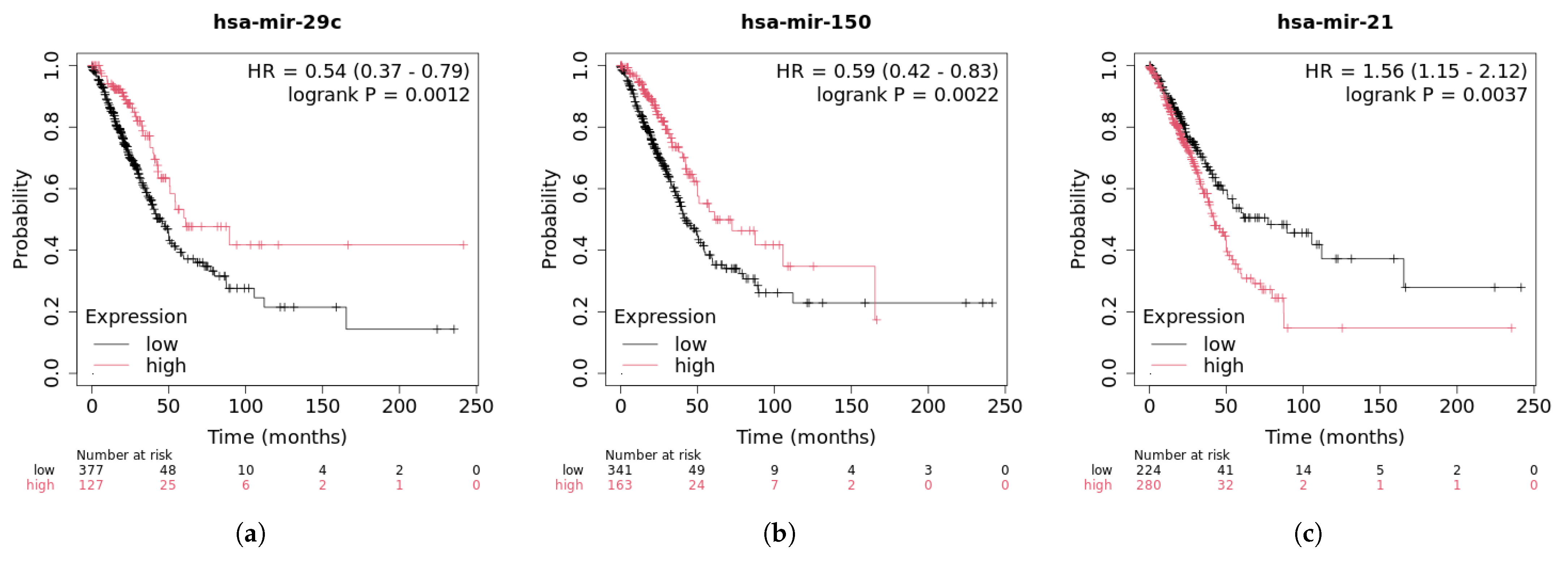 Genes 16 00425 g012 Genes 16 00425 g012