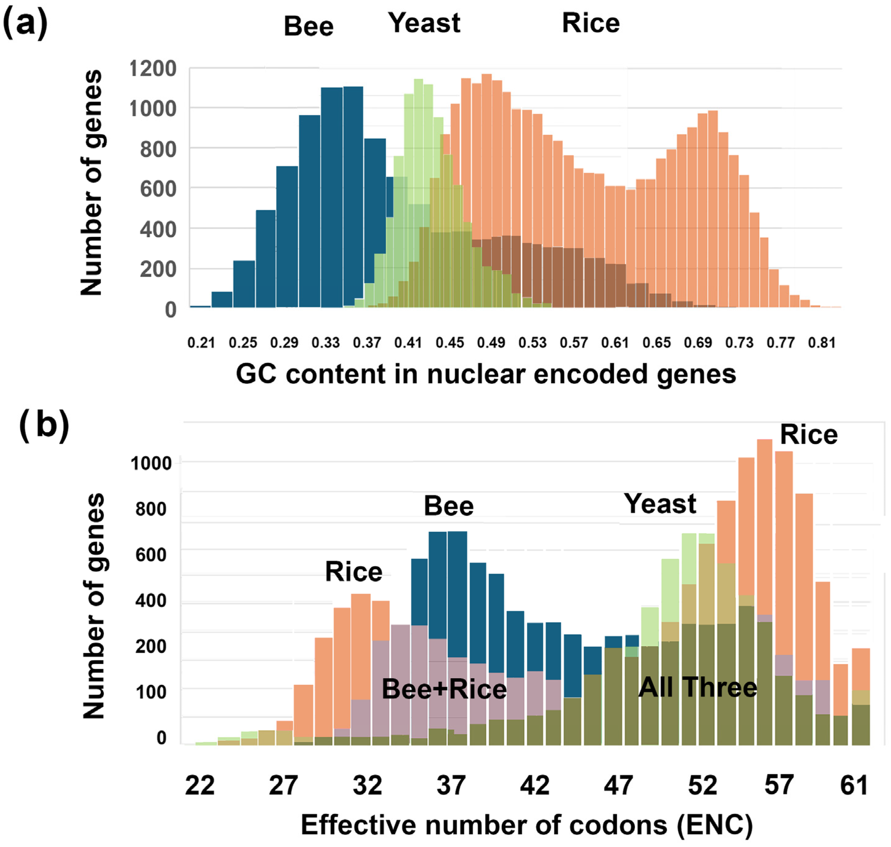 Genes 16 00432 g001