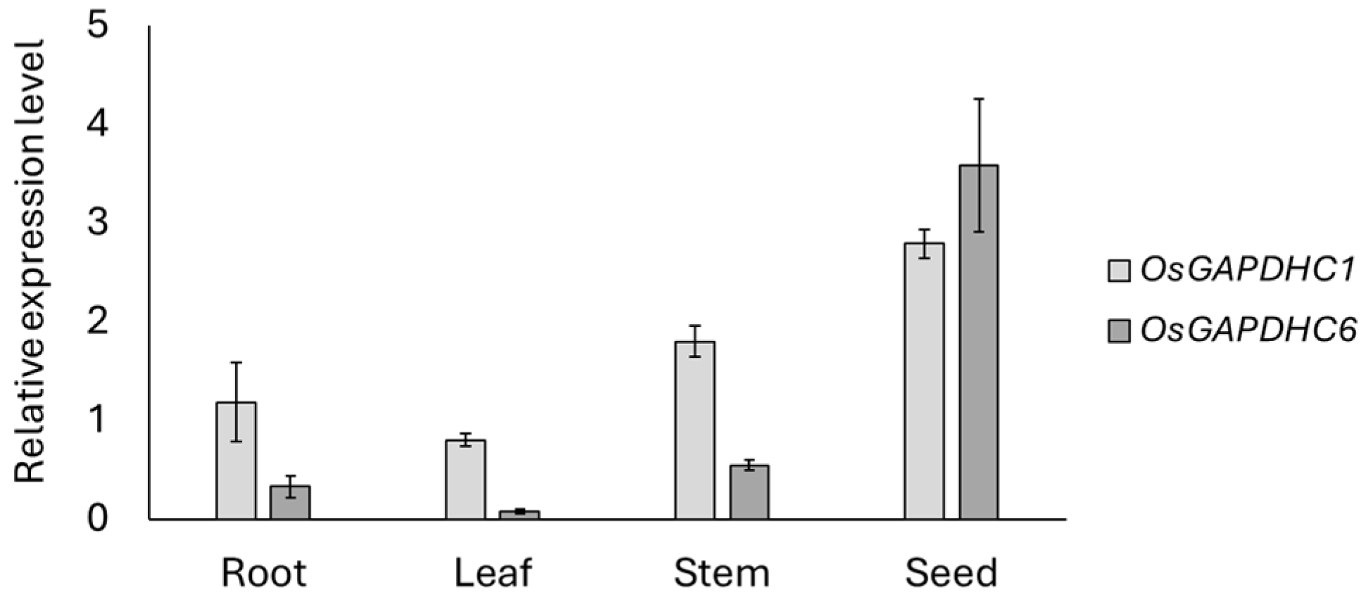 Genes 16 00436 g001 Genes 16 00436 g001