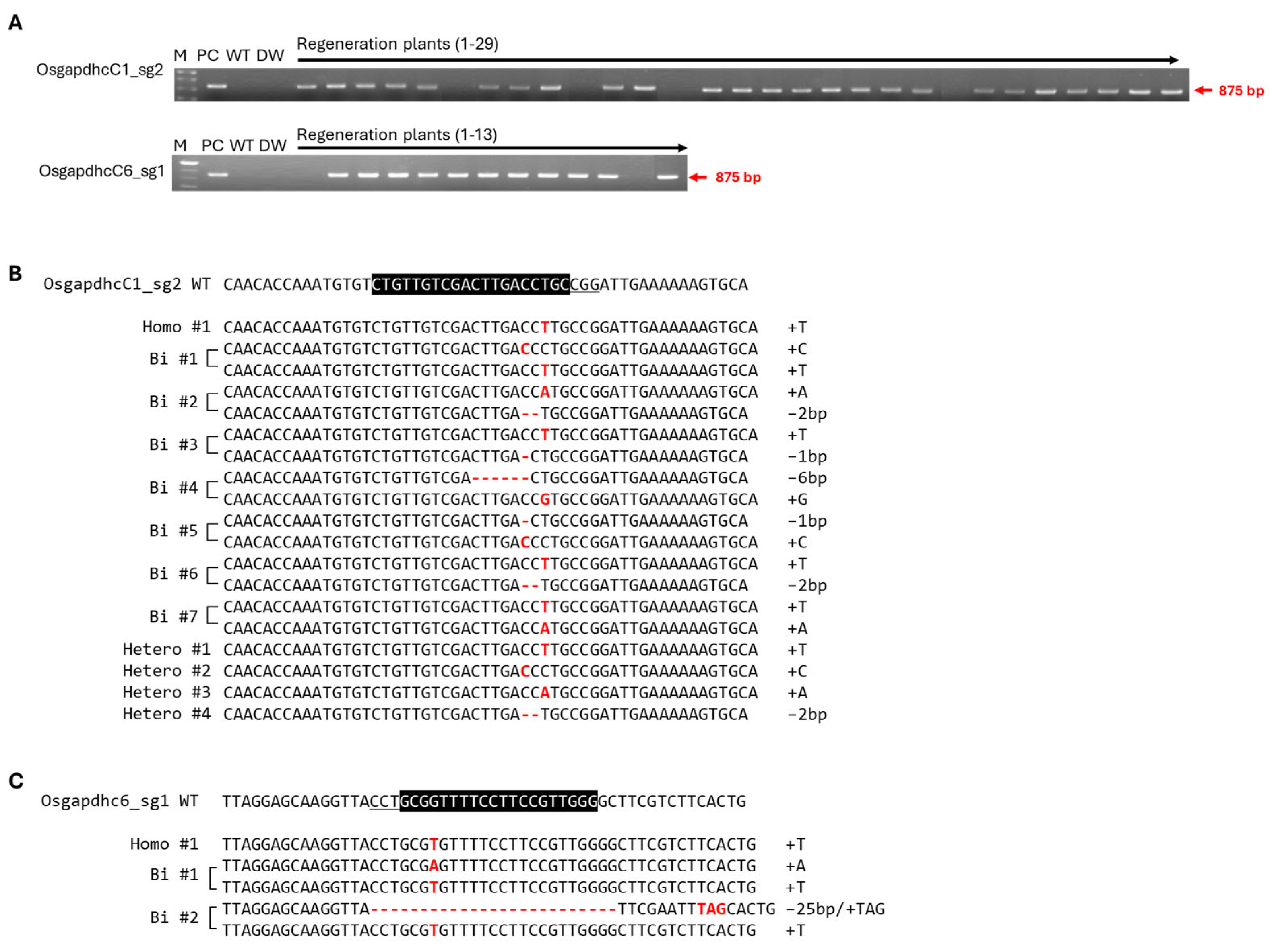 Genes 16 00436 g003 Genes 16 00436 g003