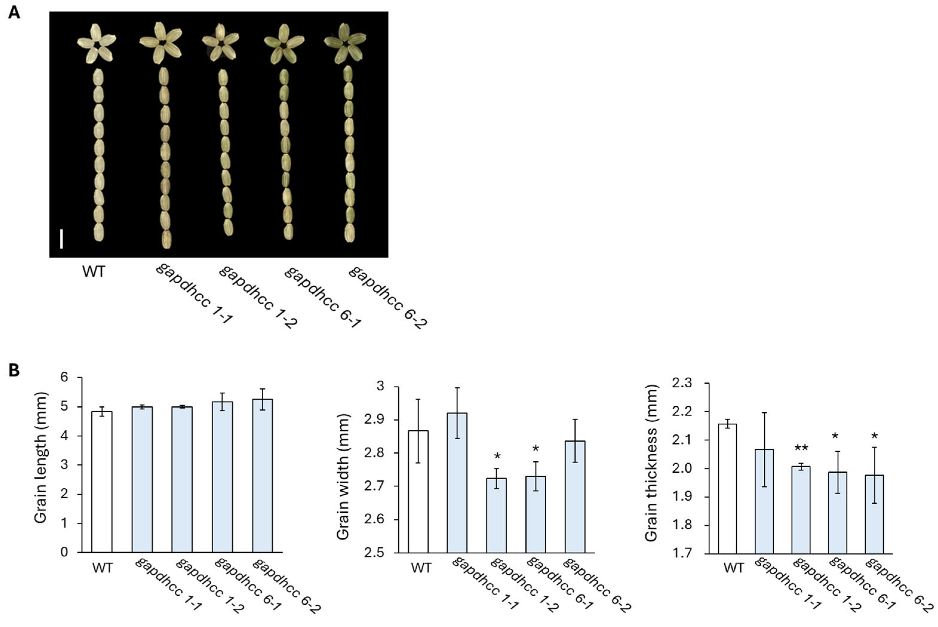 Genes 16 00436 g004 Genes 16 00436 g004