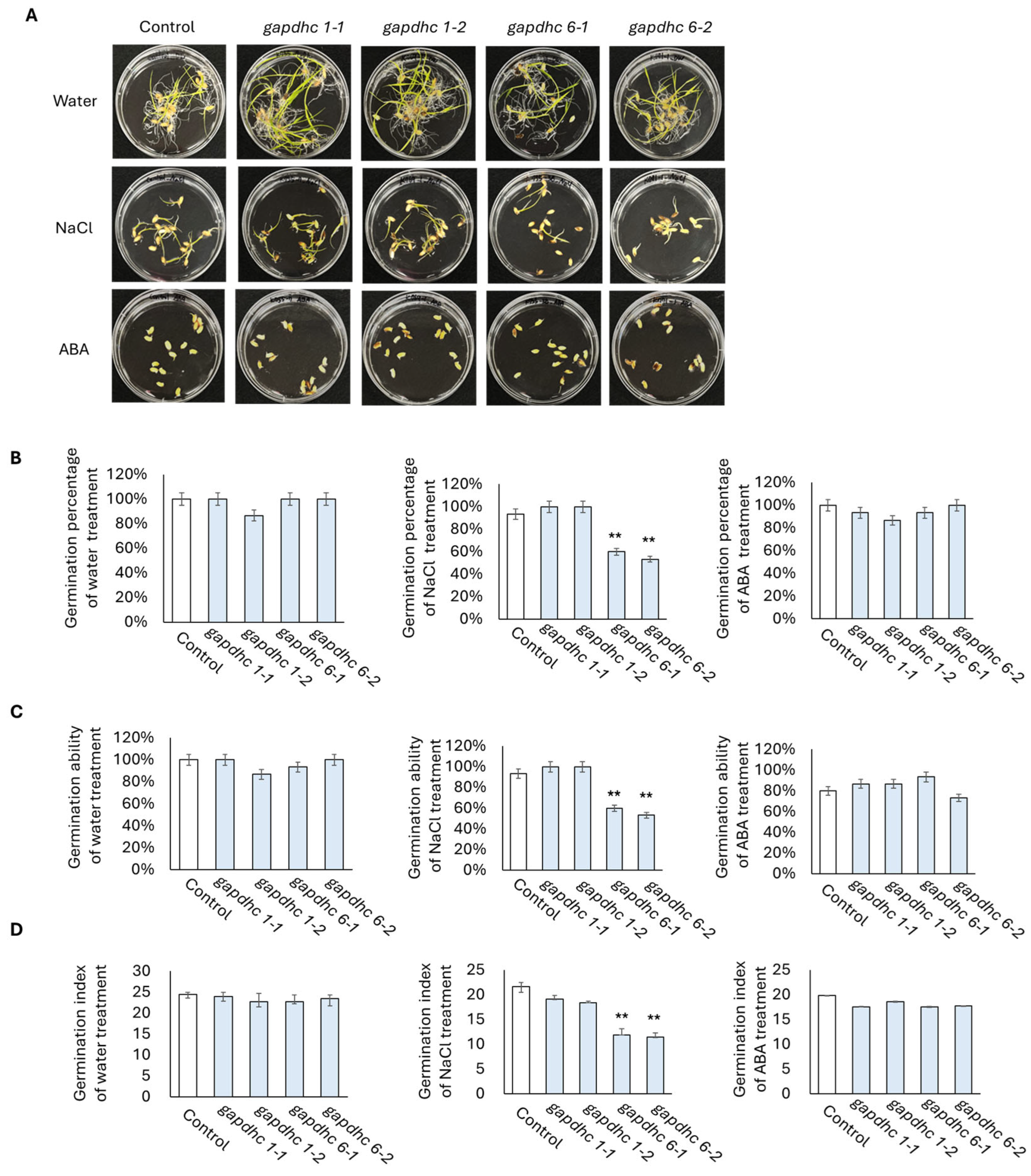 Genes 16 00436 g005 Genes 16 00436 g005