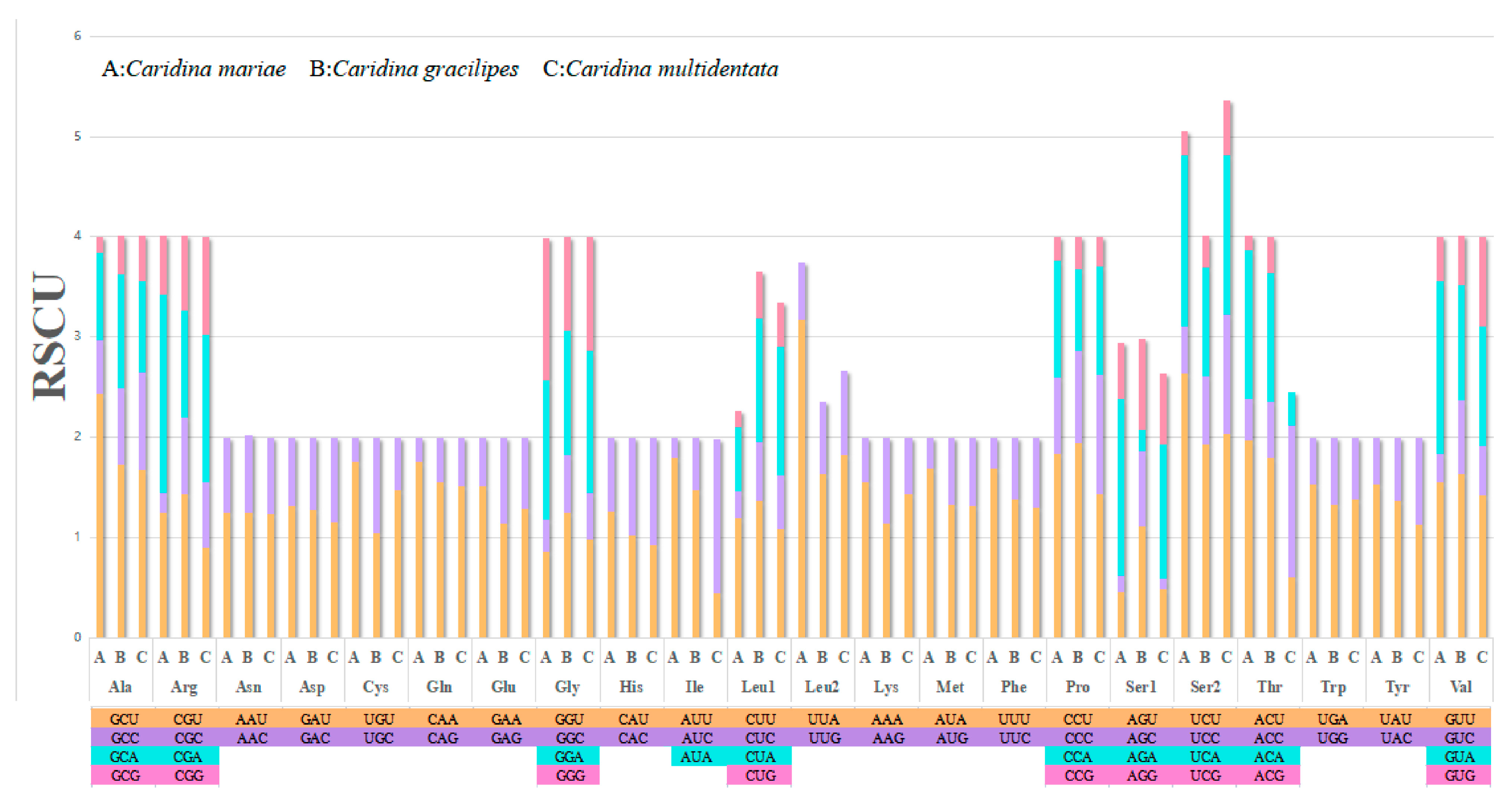 Genes 16 00457 g002