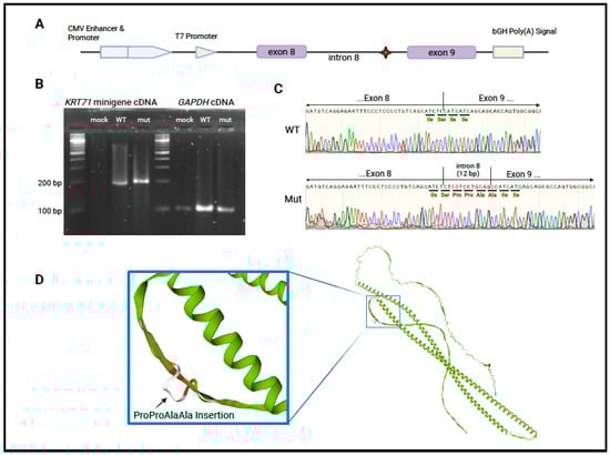 Genes 16 00459 g002