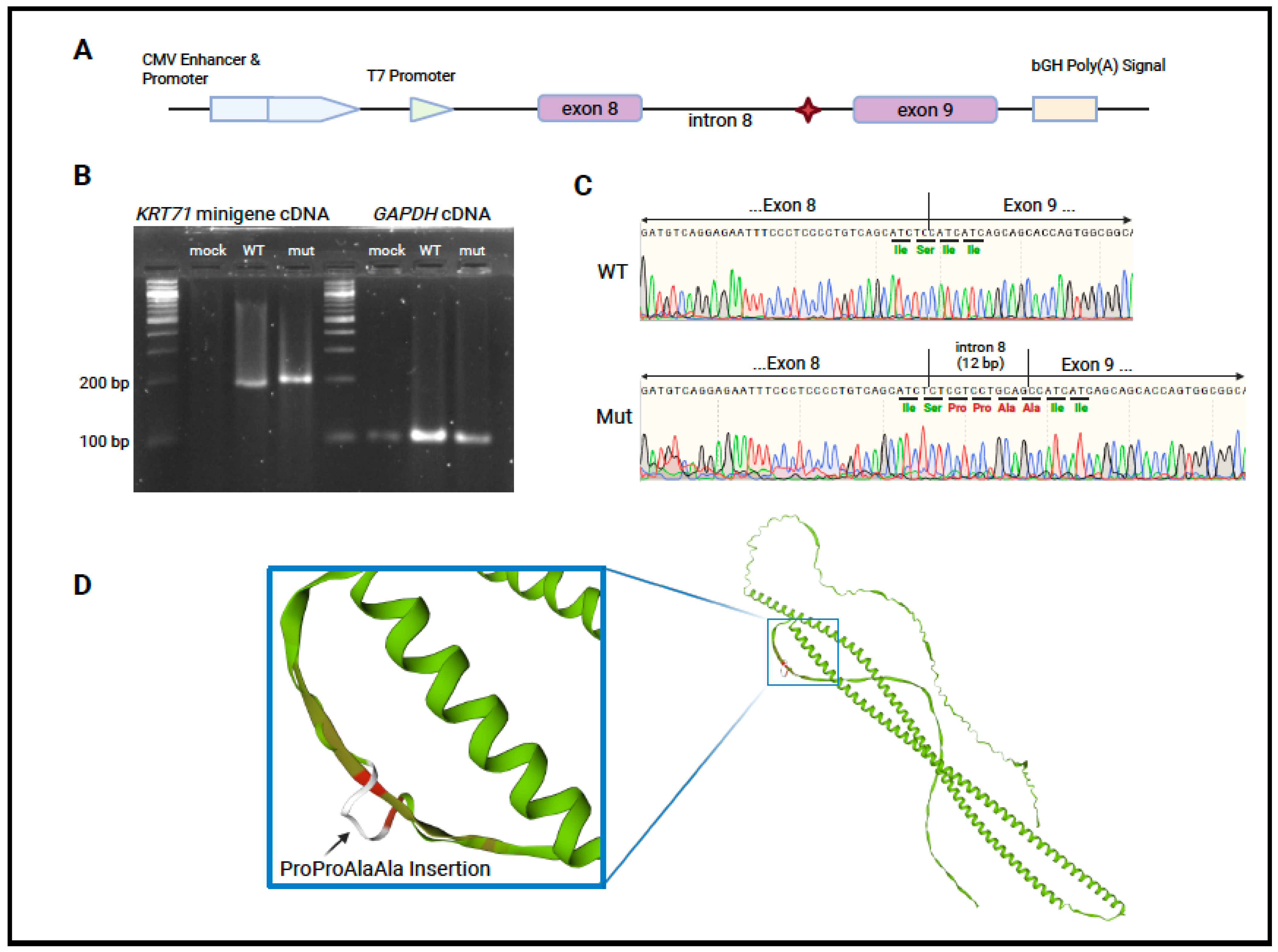 Genes 16 00459 g002 Genes 16 00459 g002