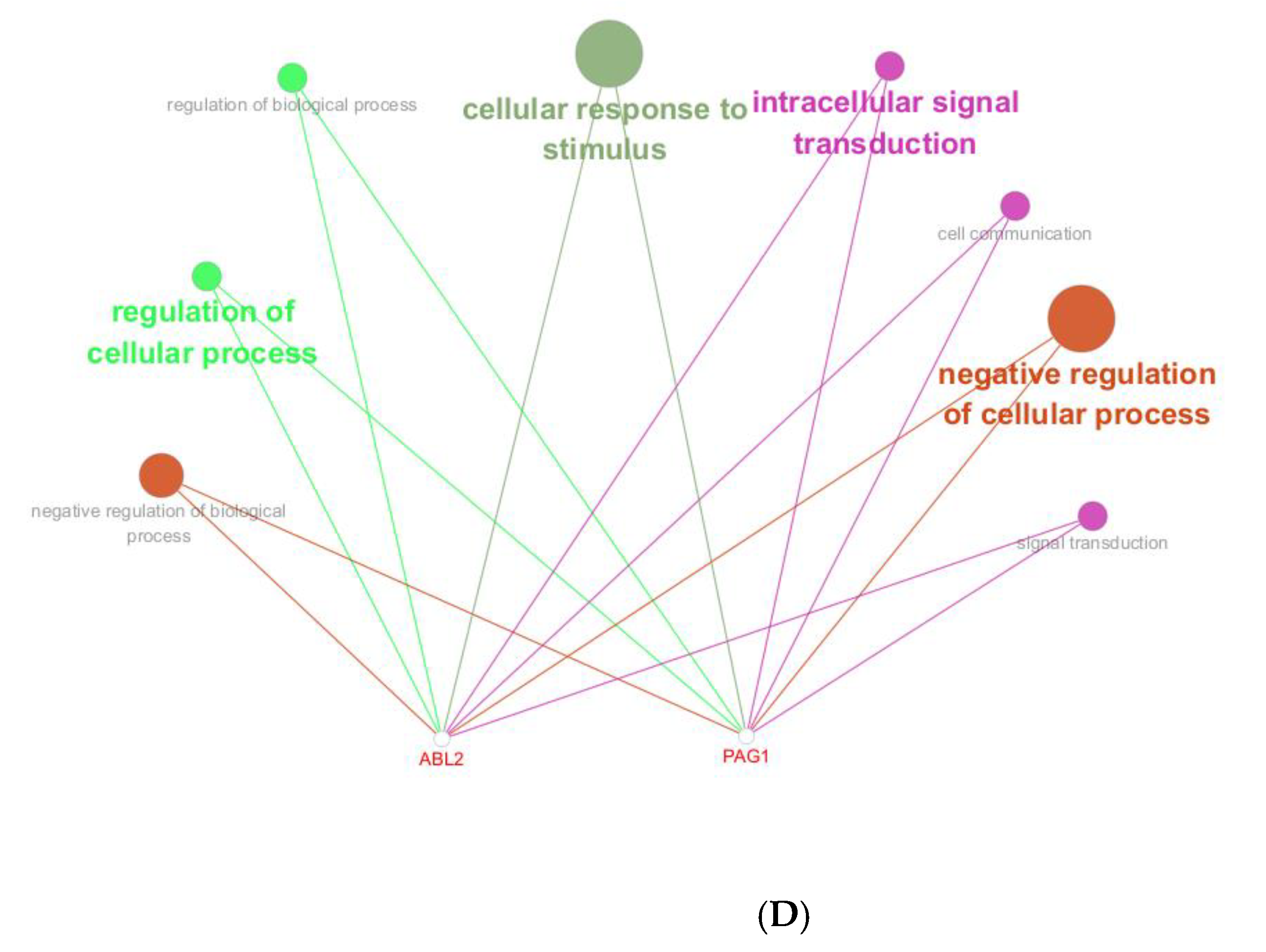 Genes 16 00466 g002c