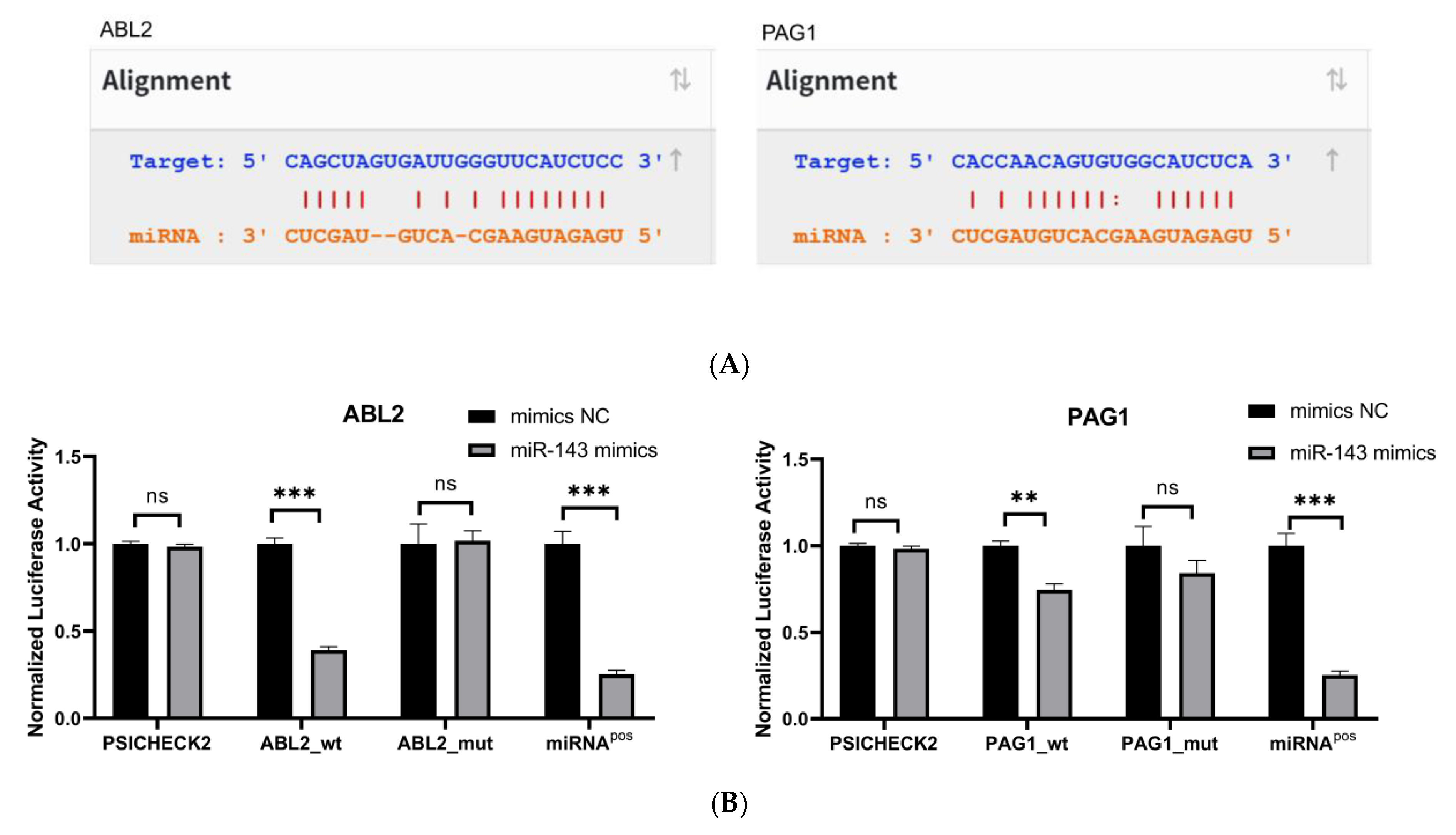 Genes 16 00466 g003a