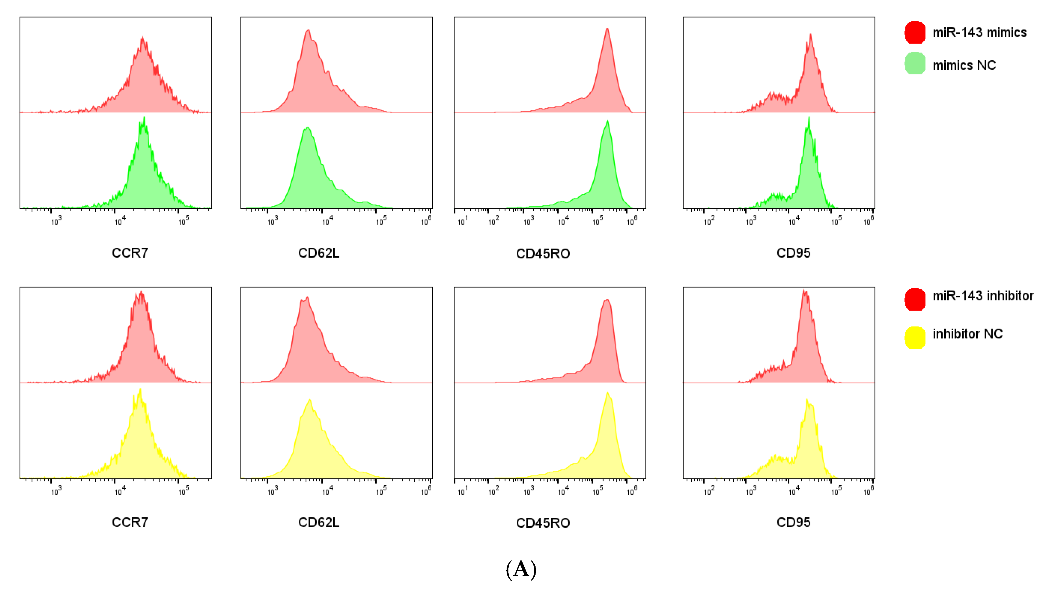Genes 16 00466 g005a