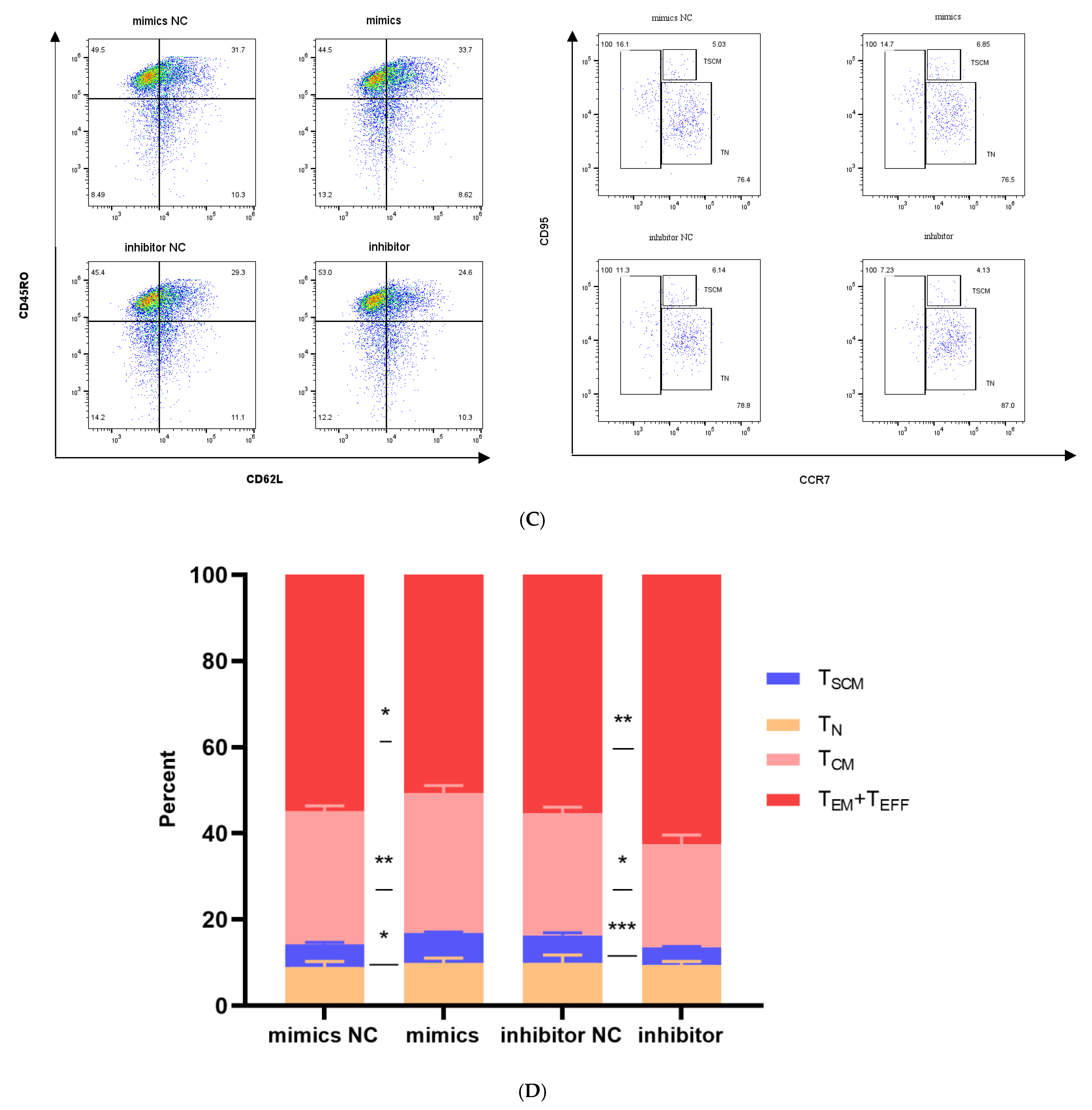 Genes 16 00466 g005c