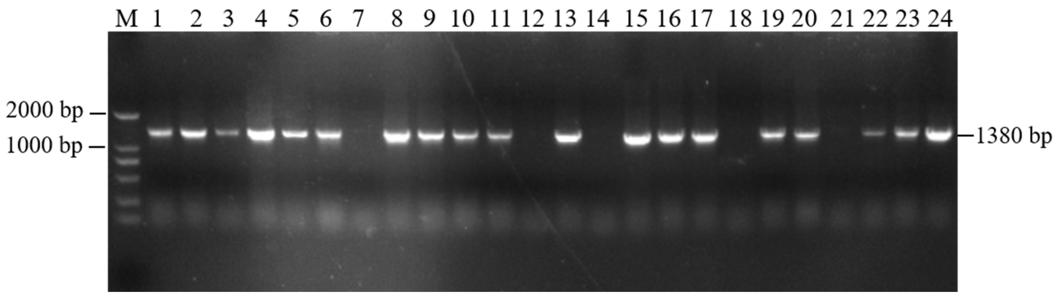 Genes 16 00479 g003