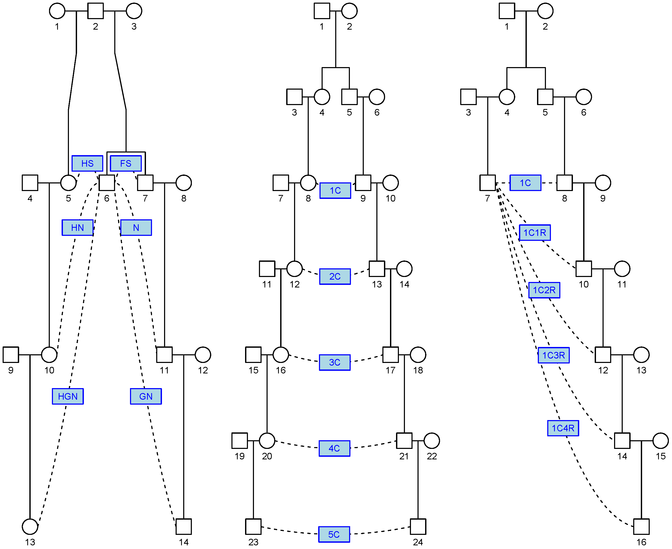 Genes 16 00492 g001 Genes 16 00492 g001