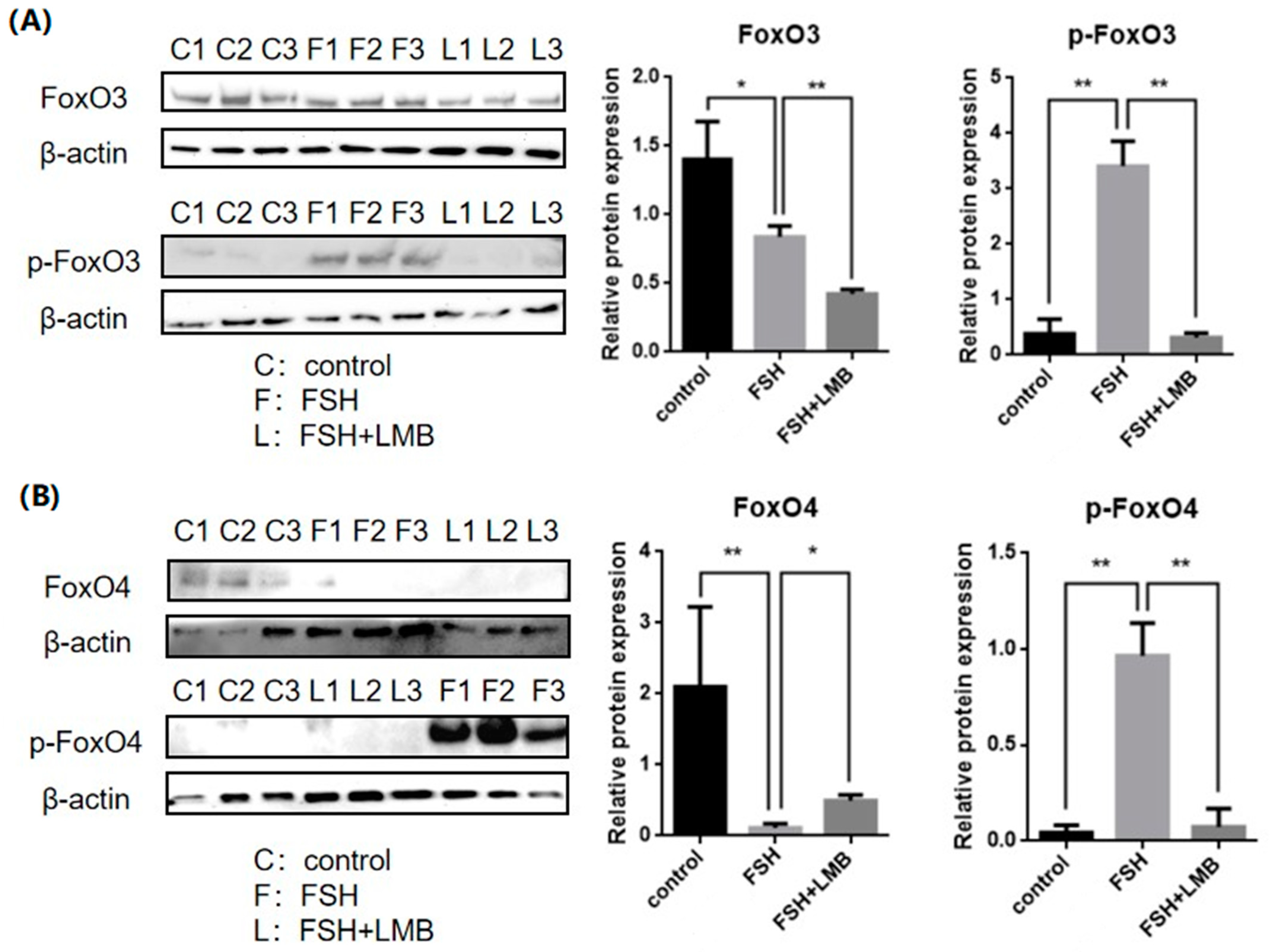 Genes 16 00500 g002