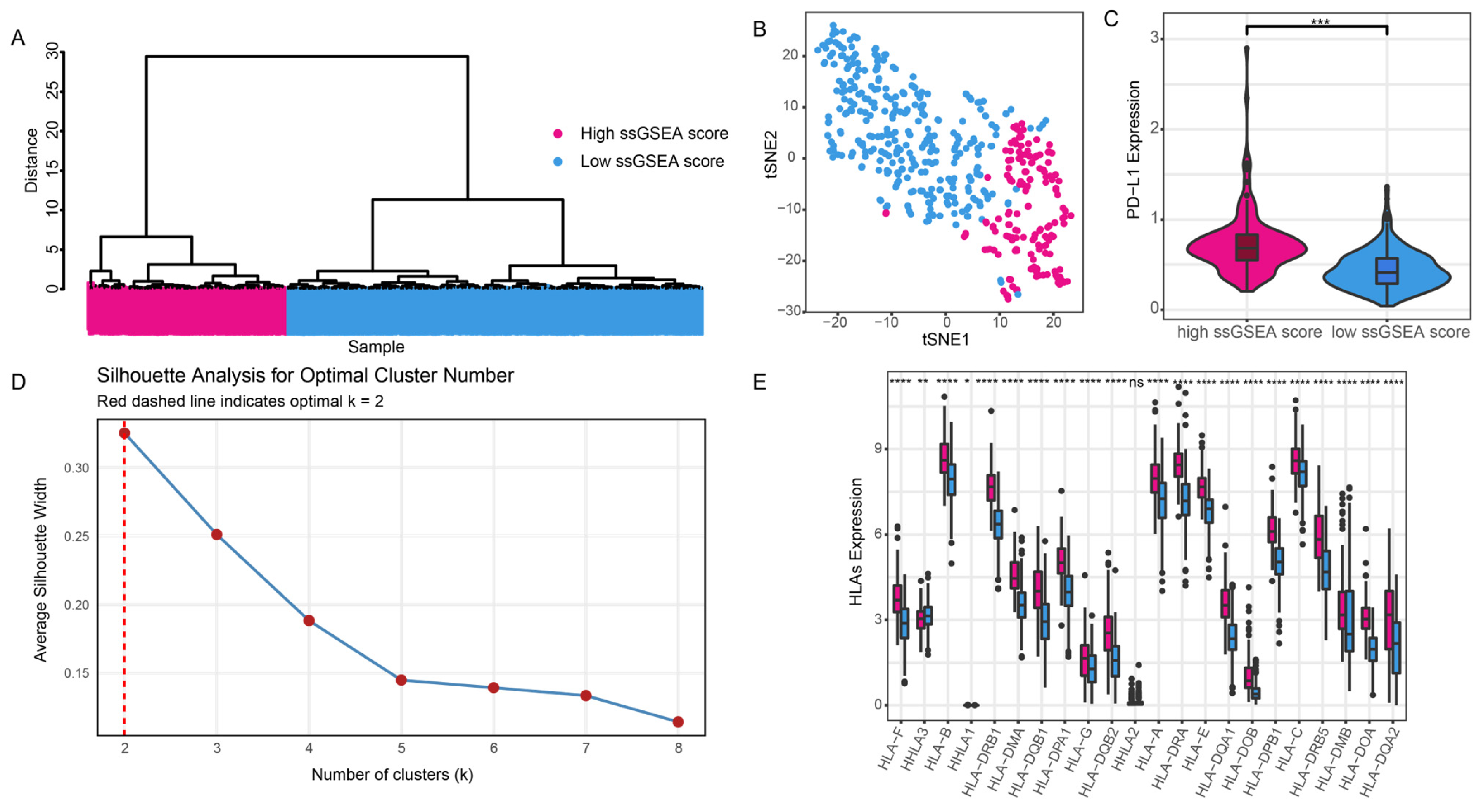 Genes 16 00527 g001