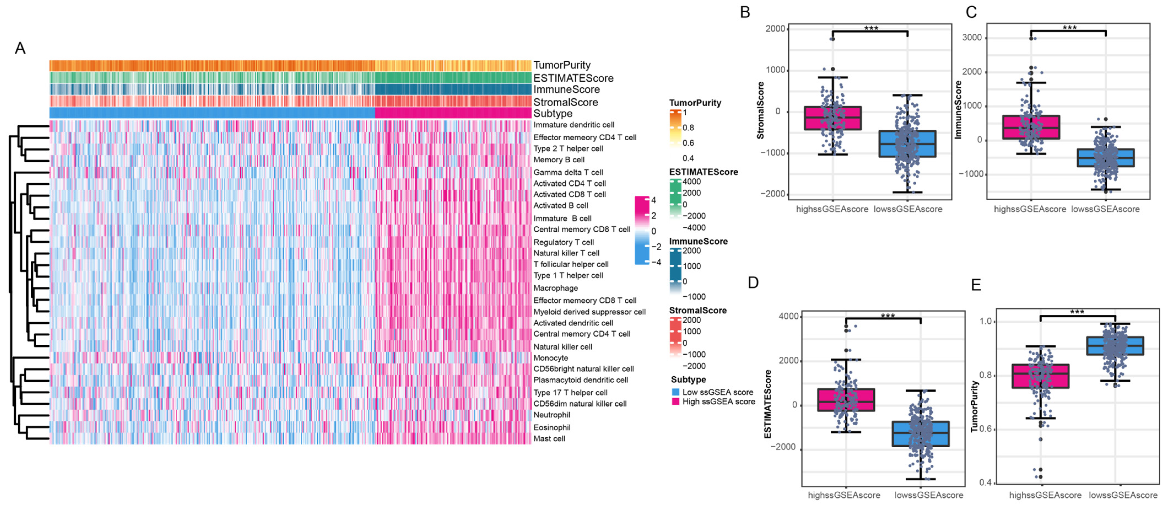Genes 16 00527 g002