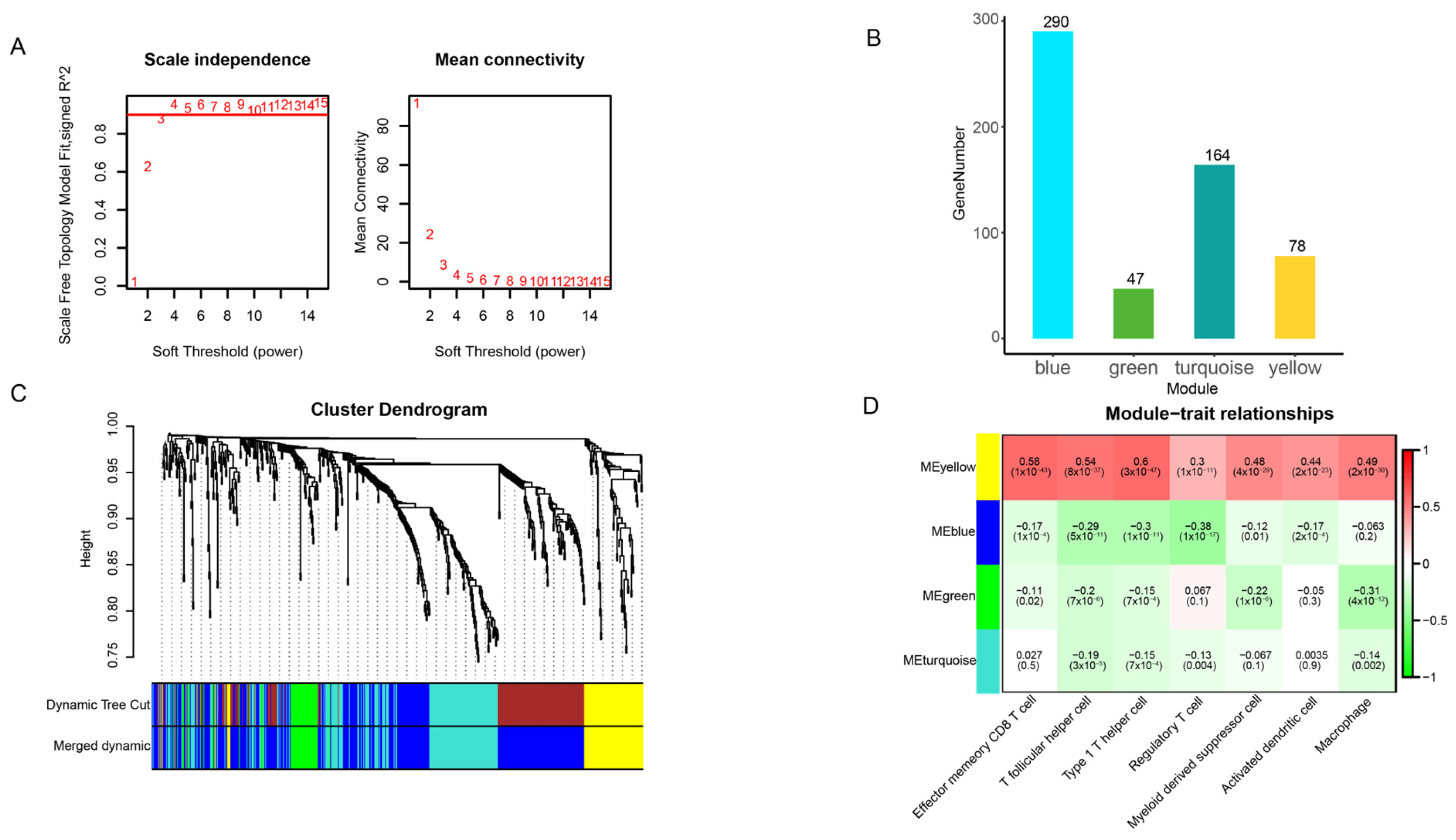 Genes 16 00527 g004