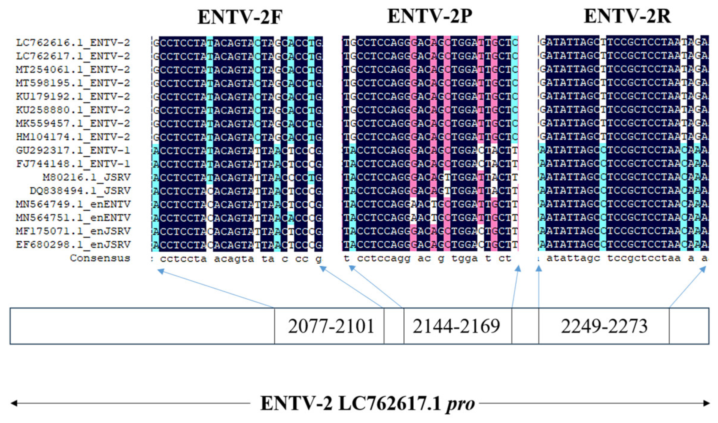 Genes 16 00529 g001 Genes 16 00529 g001