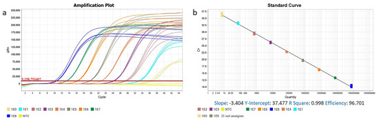 Genes 16 00529 g003a Genes 16 00529 g003a