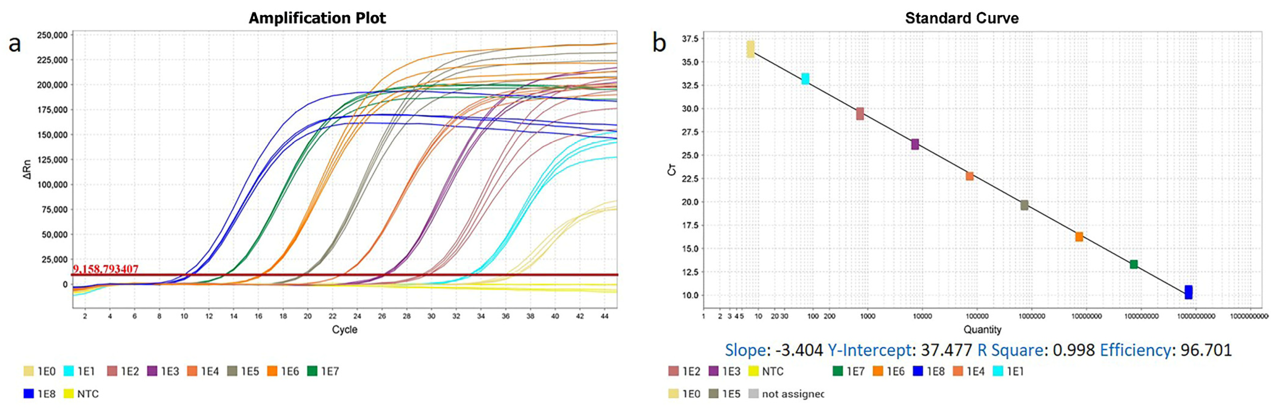 Genes 16 00529 g003a Genes 16 00529 g003a
