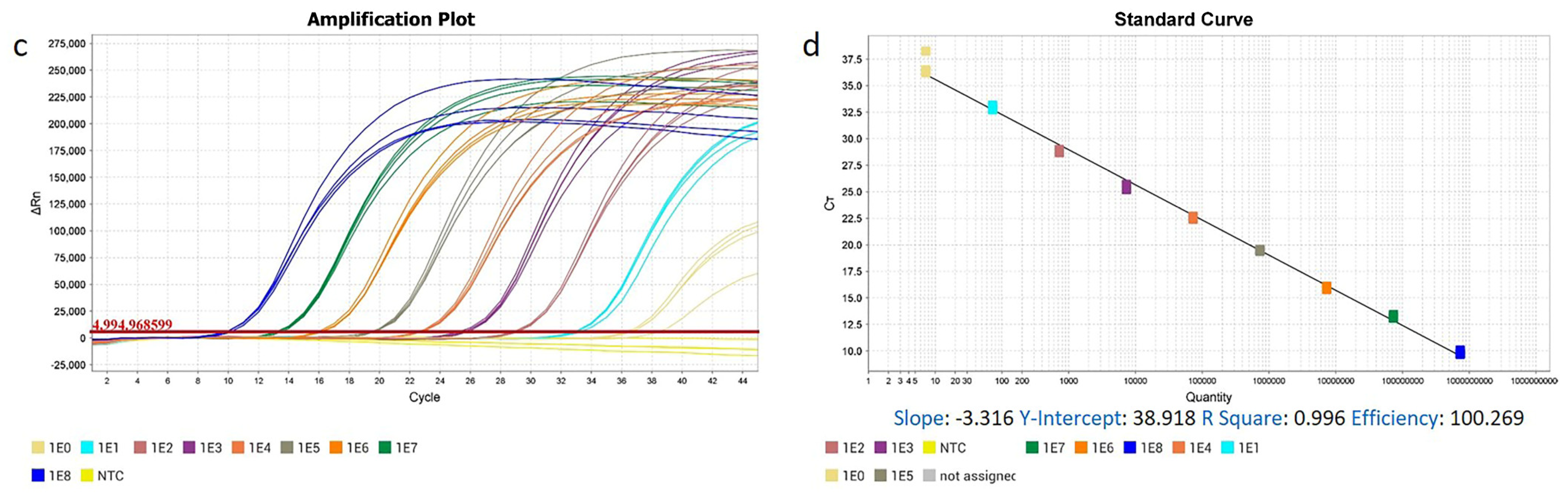 Genes 16 00529 g003b Genes 16 00529 g003b