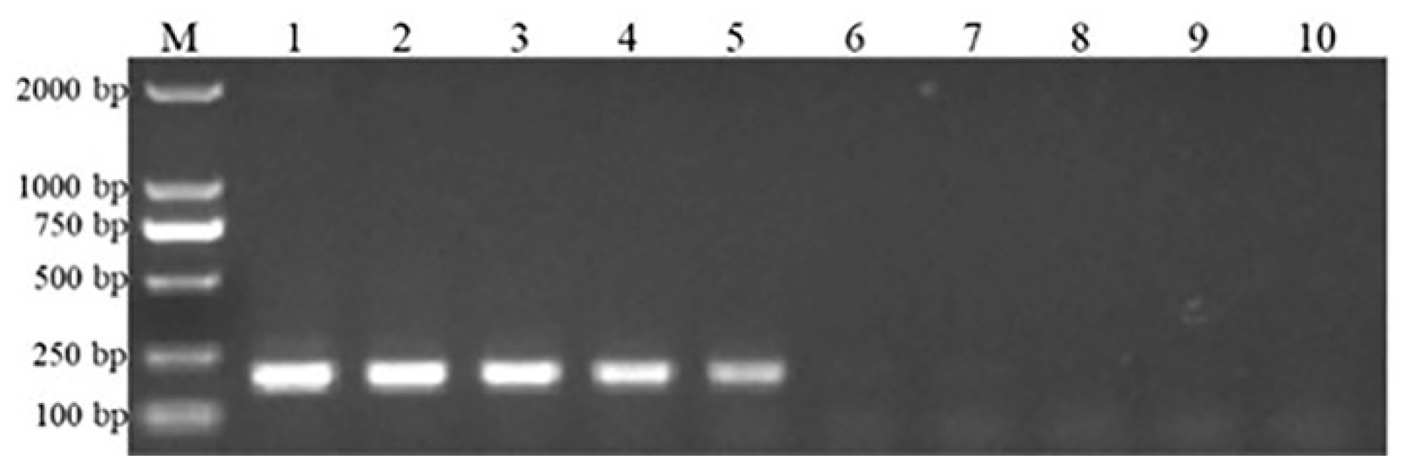 Genes 16 00529 g004 Genes 16 00529 g004