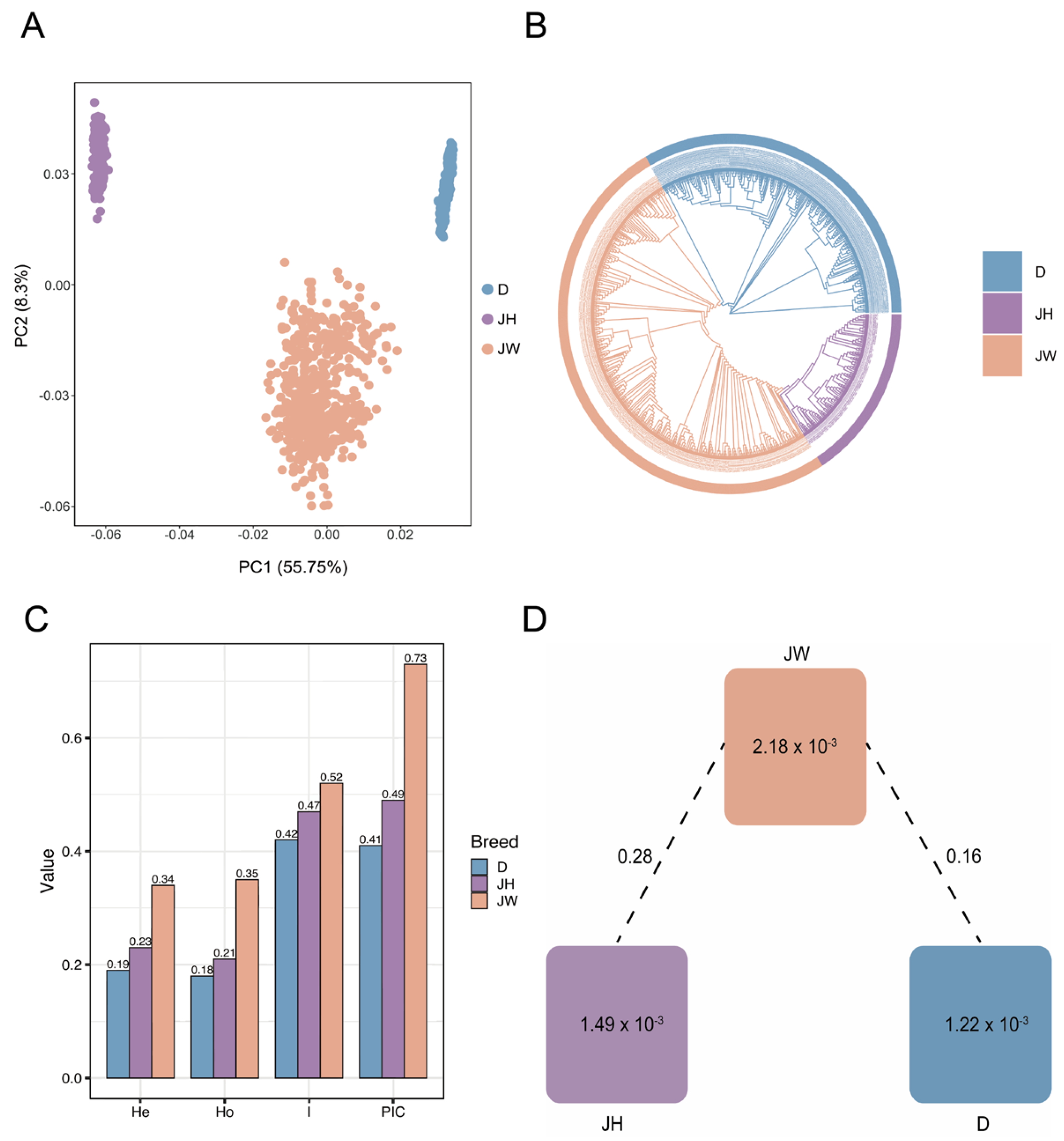Genes 16 00550 g002 Genes 16 00550 g002