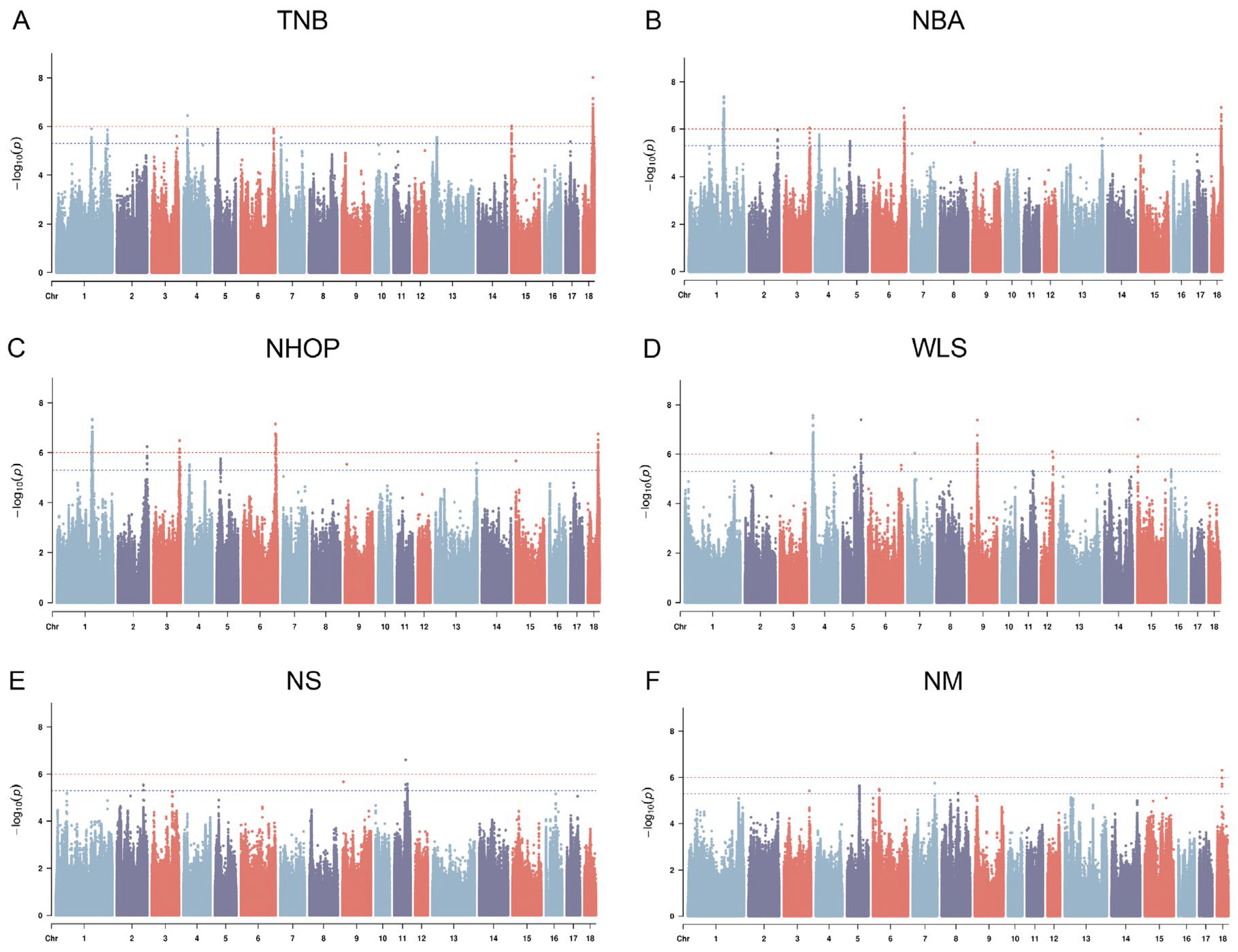 Genes 16 00550 g003 Genes 16 00550 g003