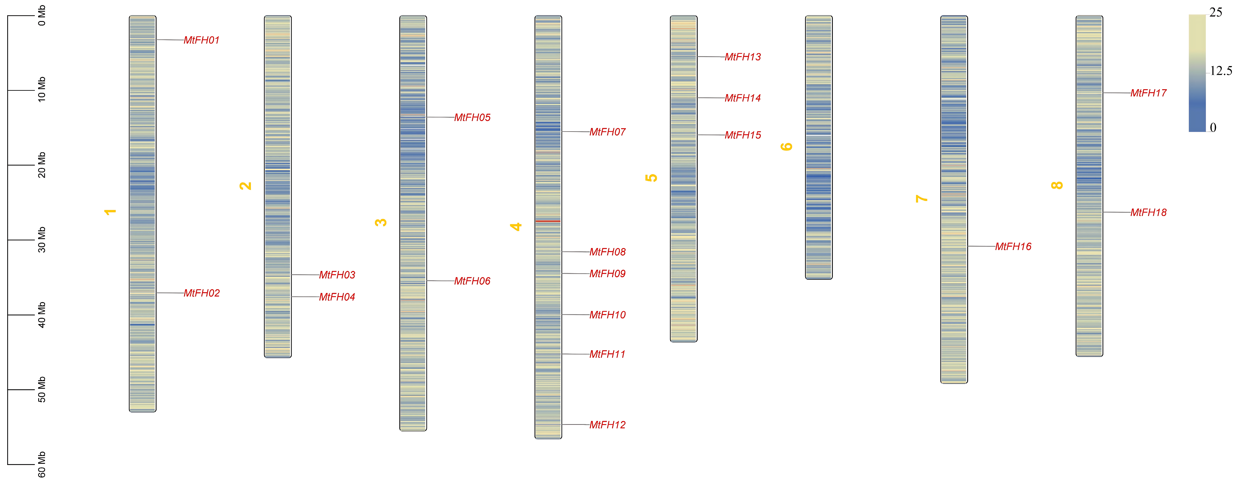 Genes 16 00555 g001