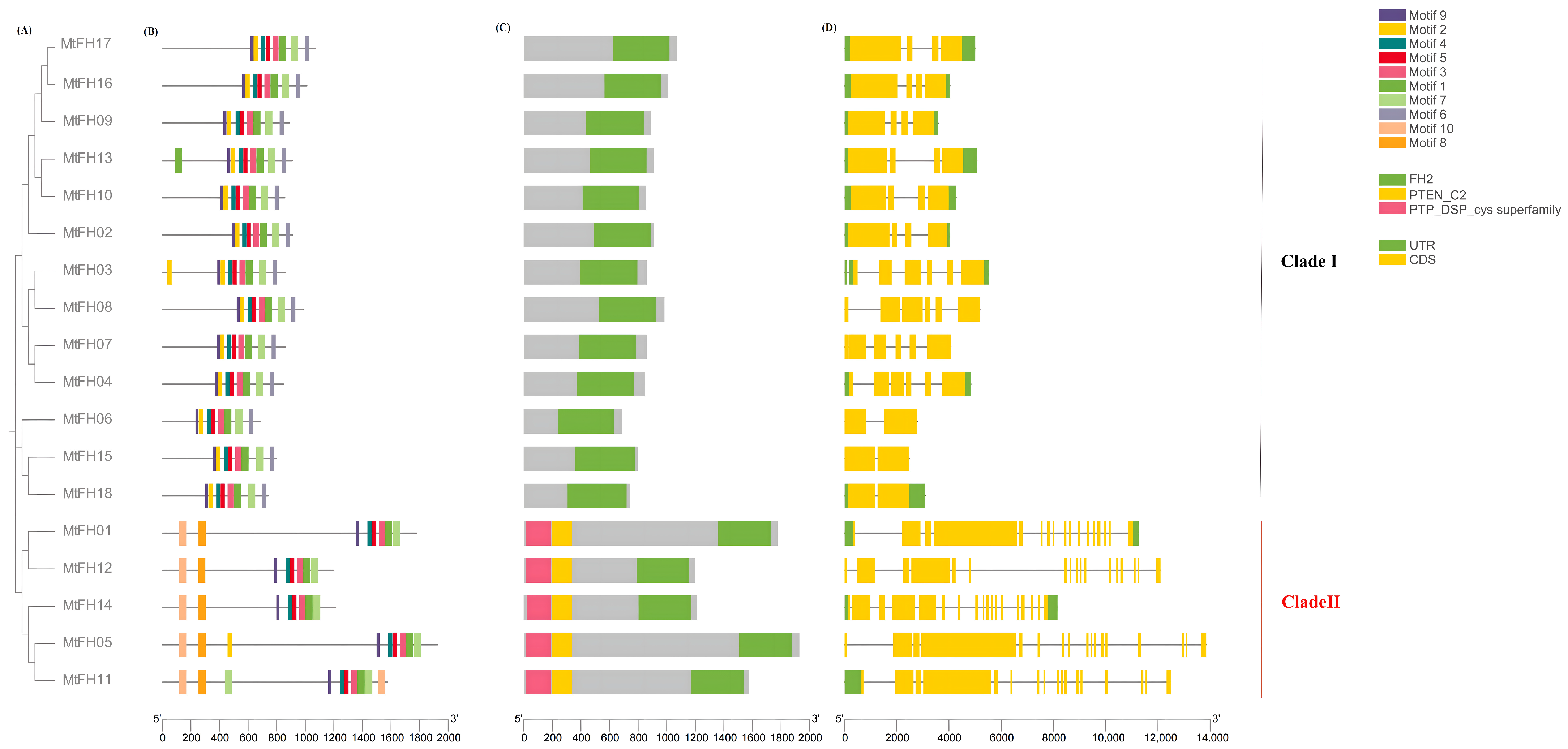 Genes 16 00555 g003