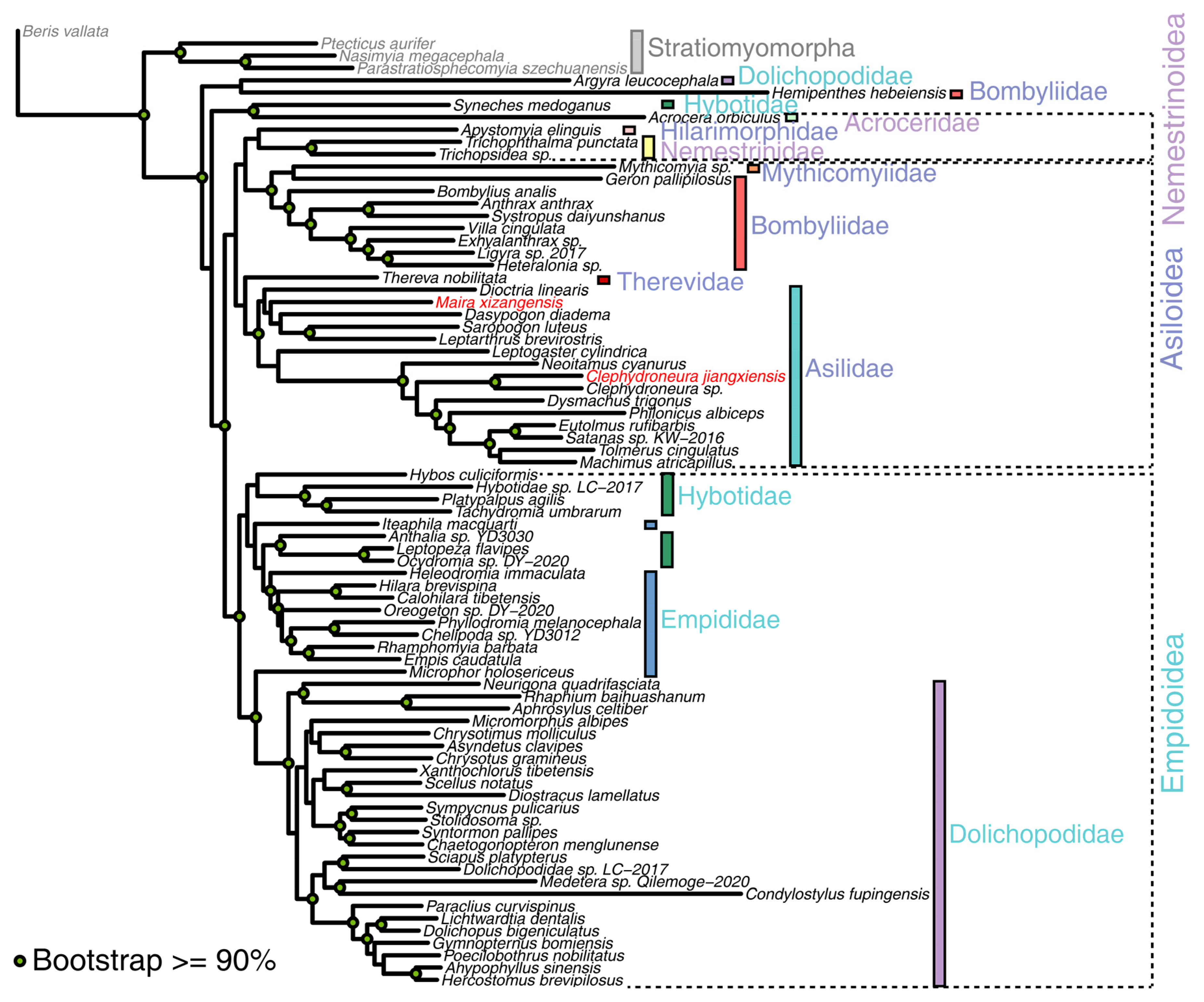 Genes 16 00561 g004