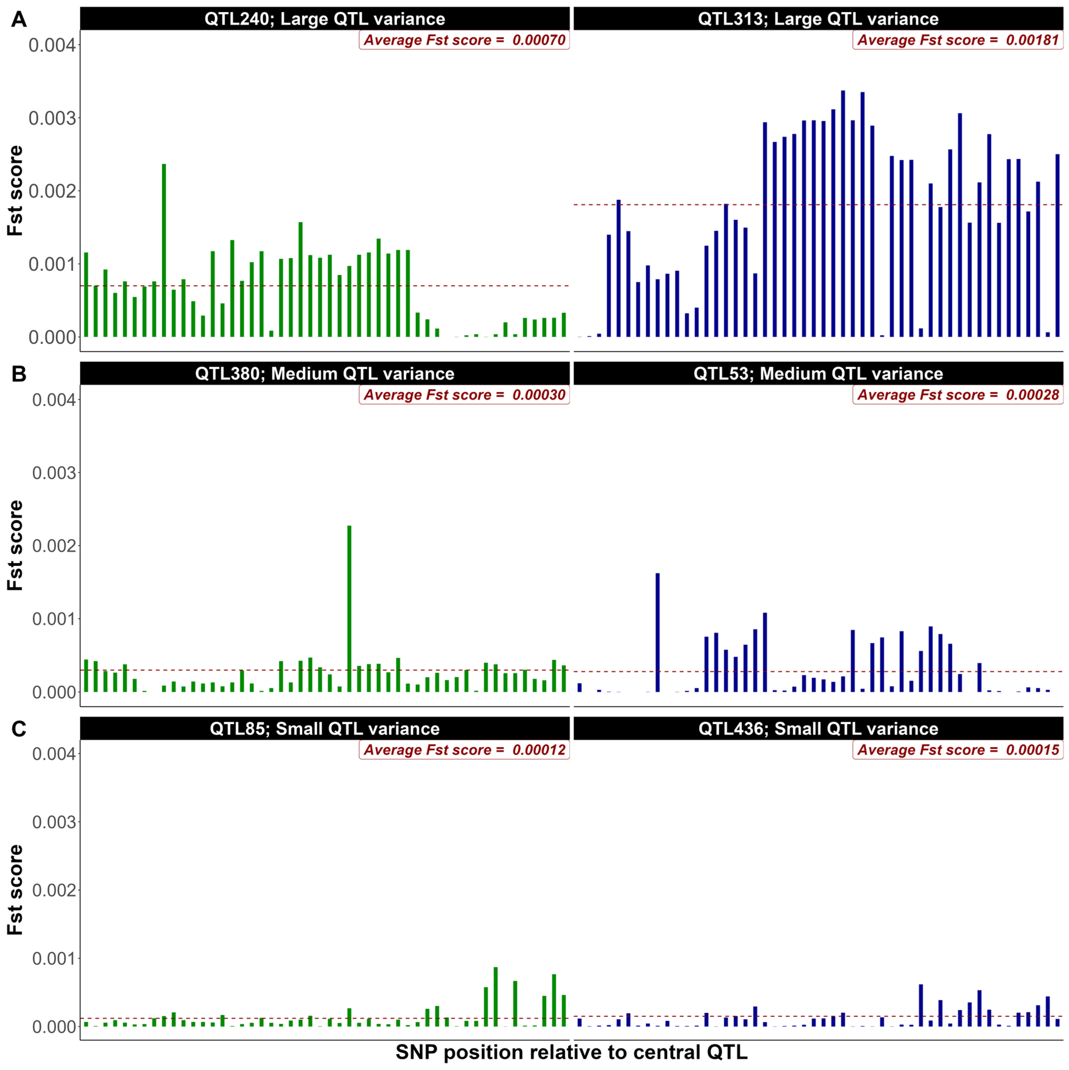 Genes 16 00563 g002