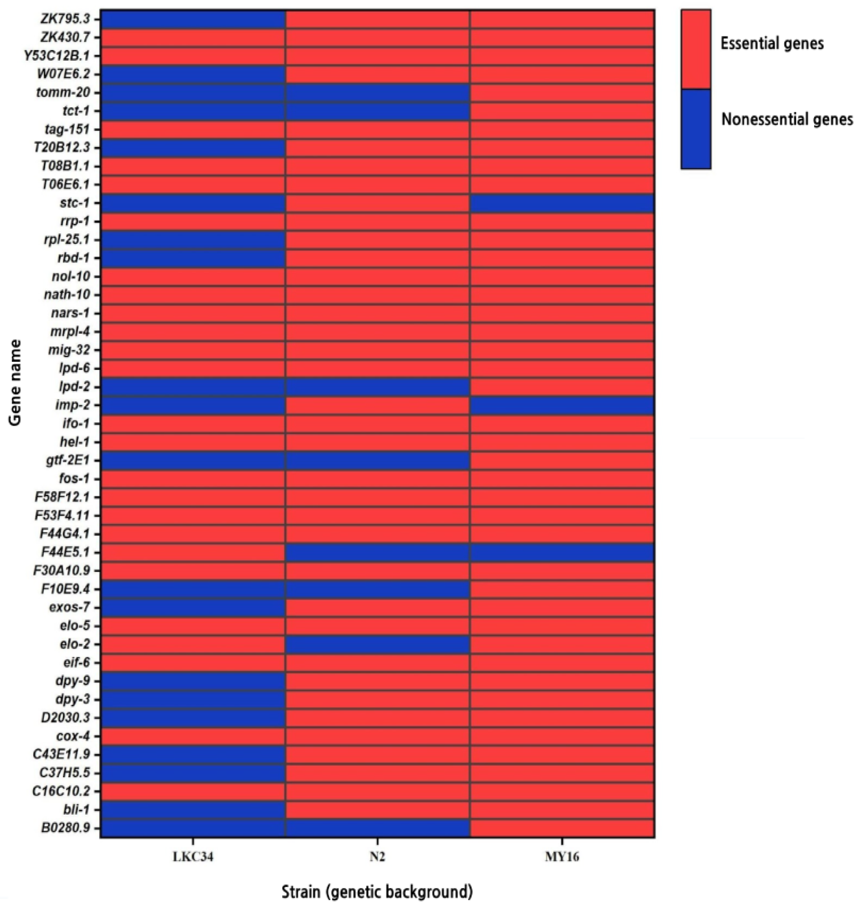 Genes 16 00570 g001