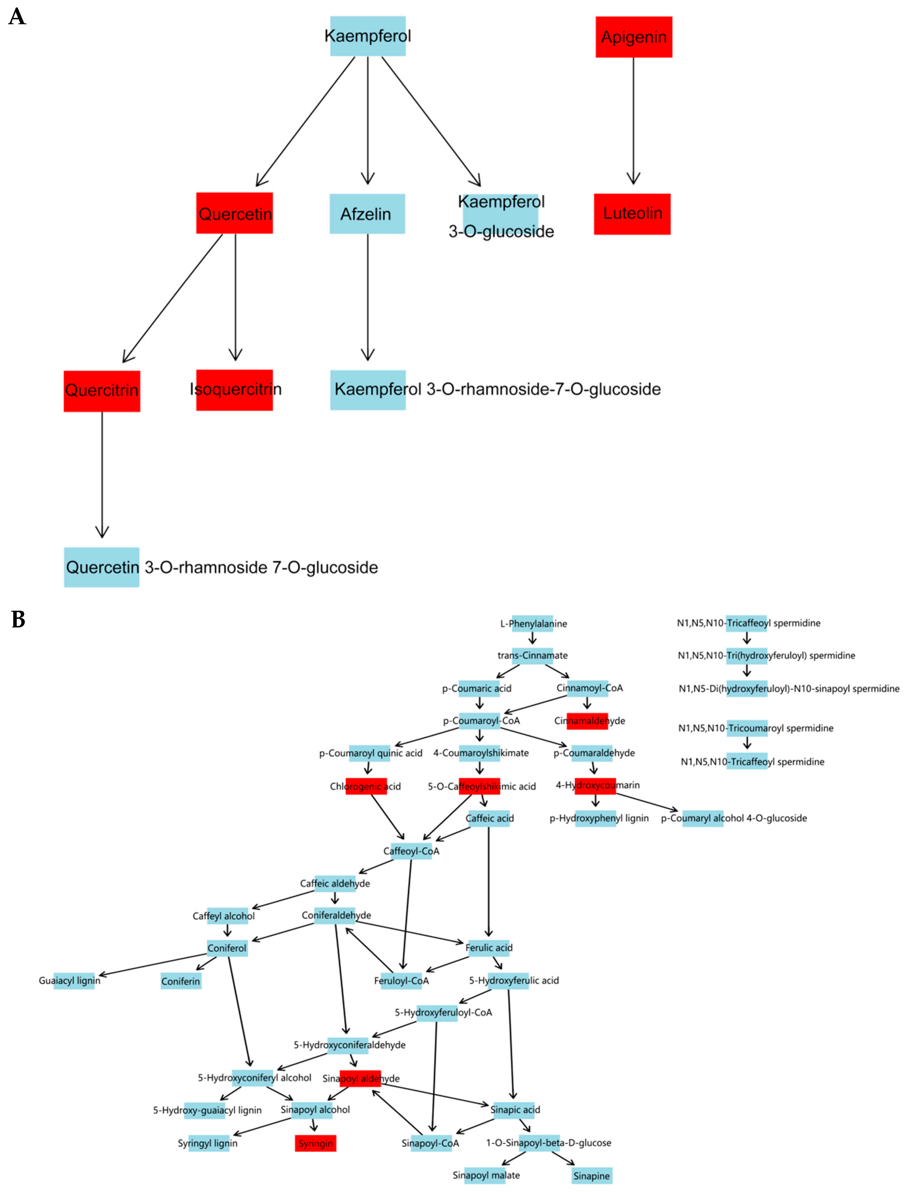 Genes 16 00593 g013 Genes 16 00593 g013