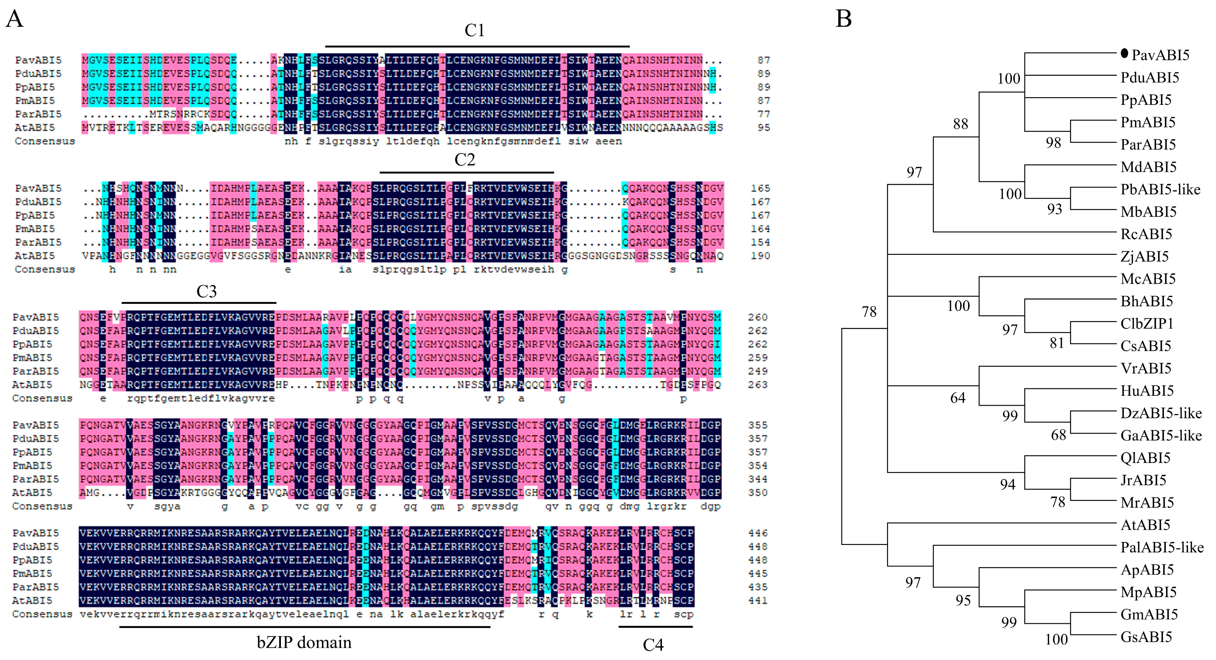 Genes 16 00596 g001 Genes 16 00596 g001