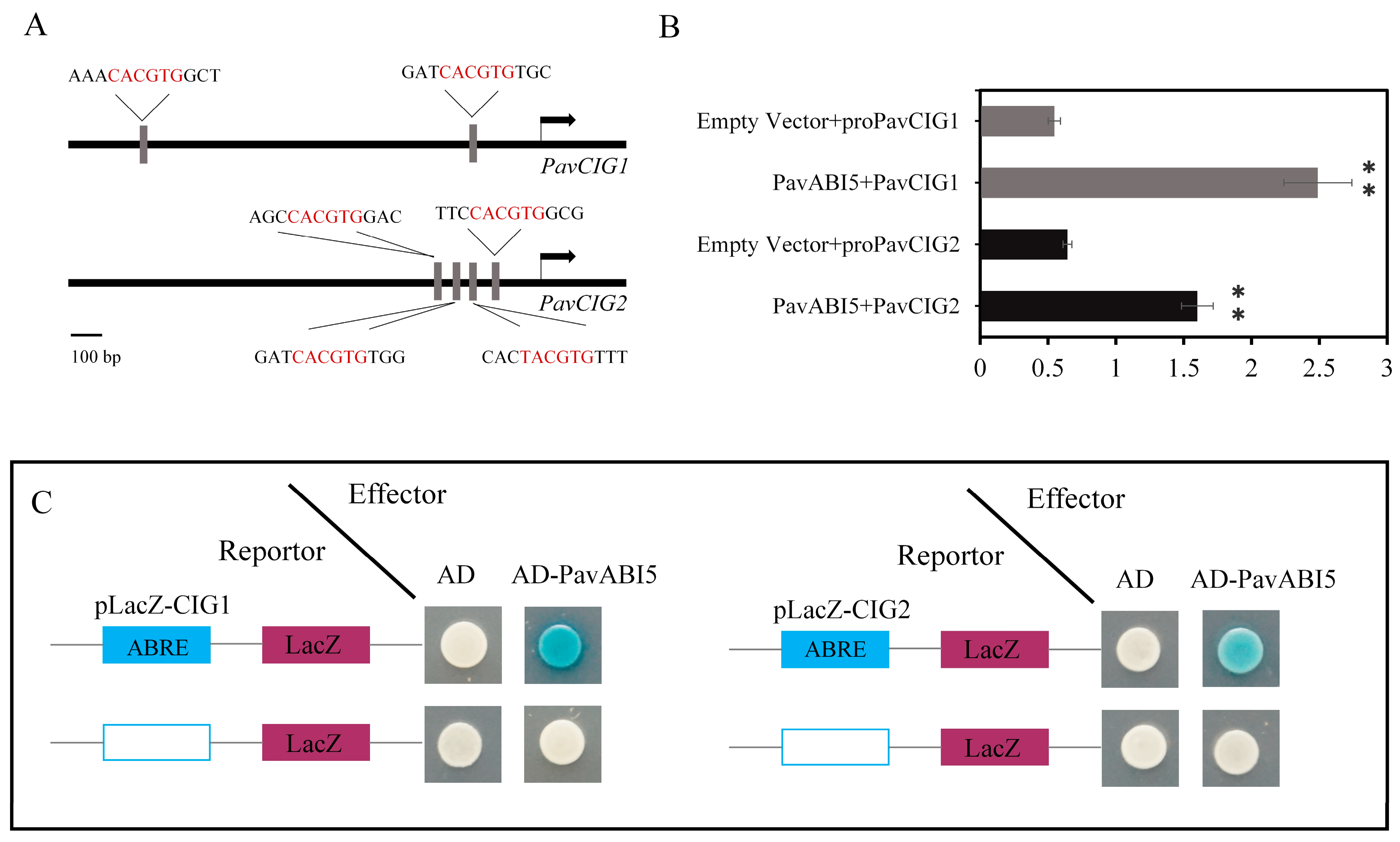 Genes 16 00596 g002 Genes 16 00596 g002