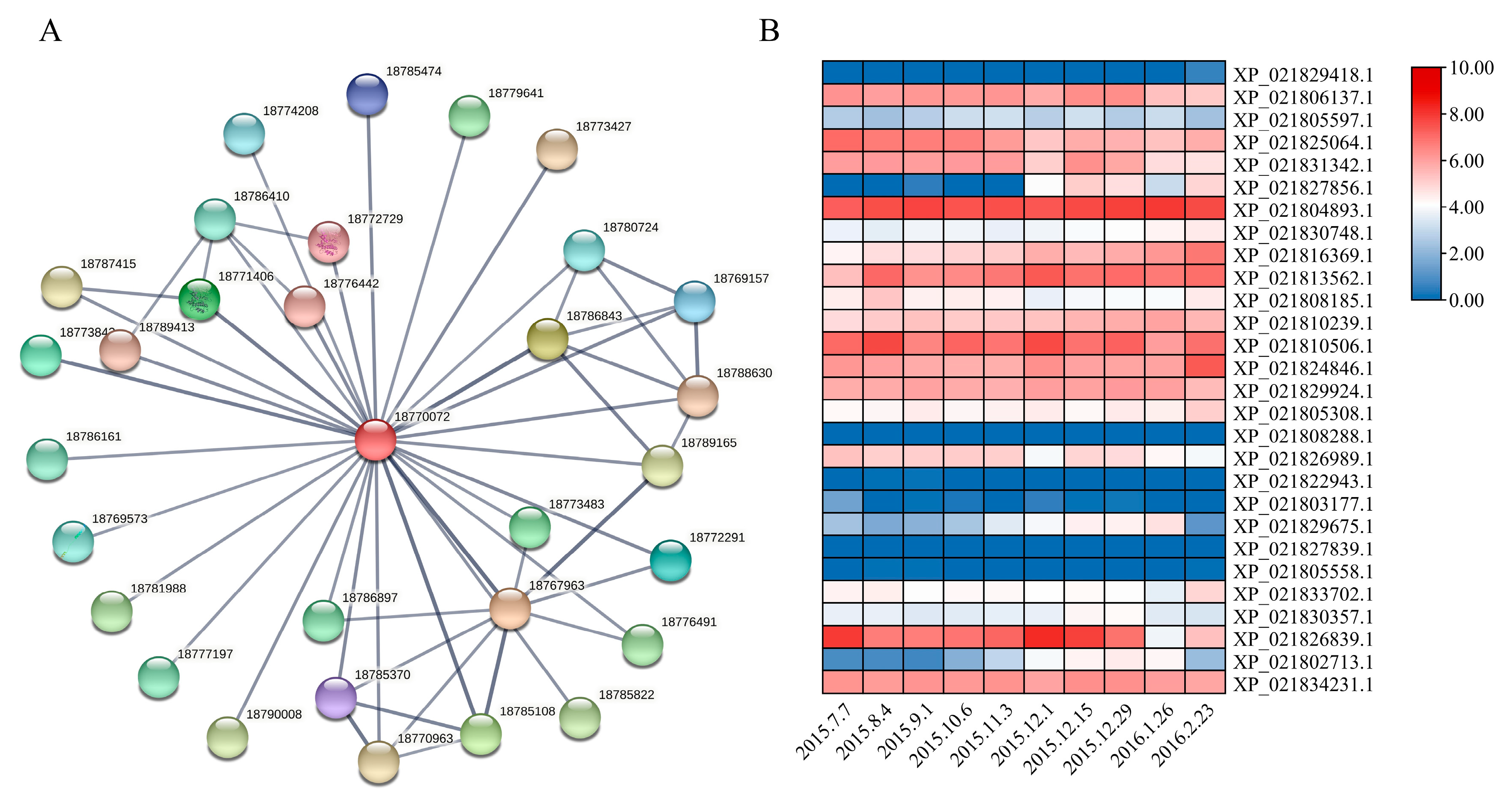 Genes 16 00596 g006 Genes 16 00596 g006