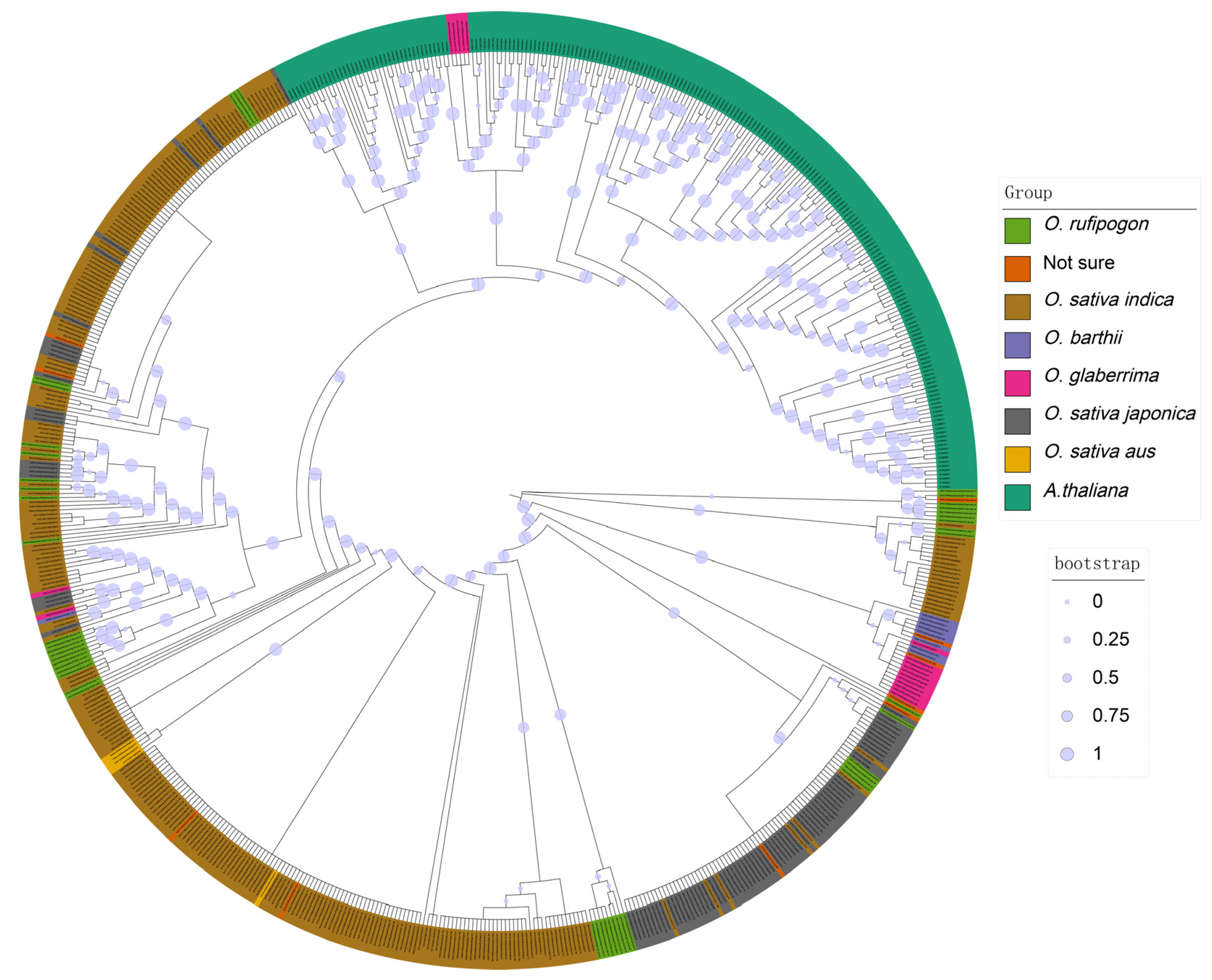 Genes 16 00597 g005