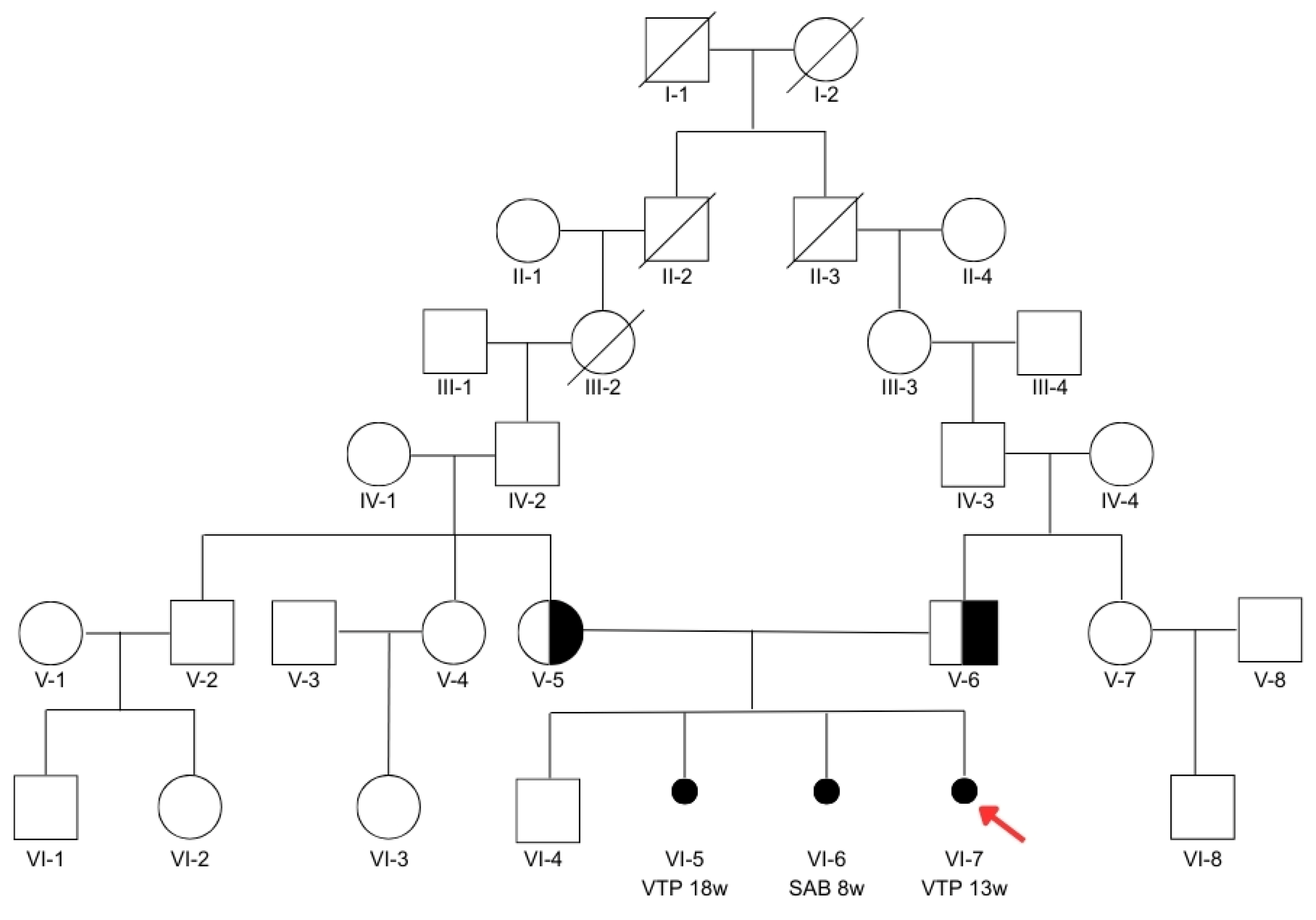 Genes 16 00643 g002 Genes 16 00643 g002